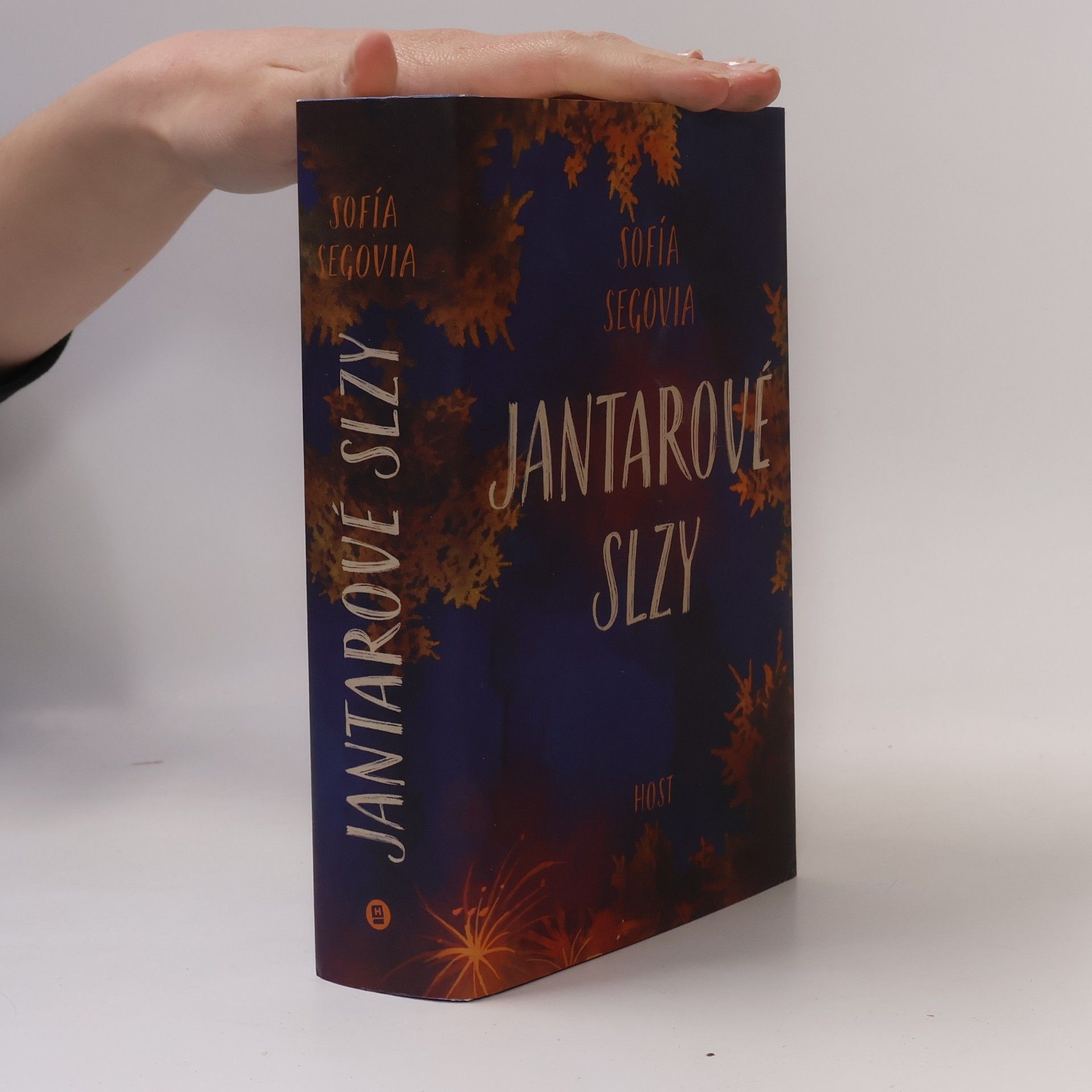 Romana Bičíková Jantarové slzy