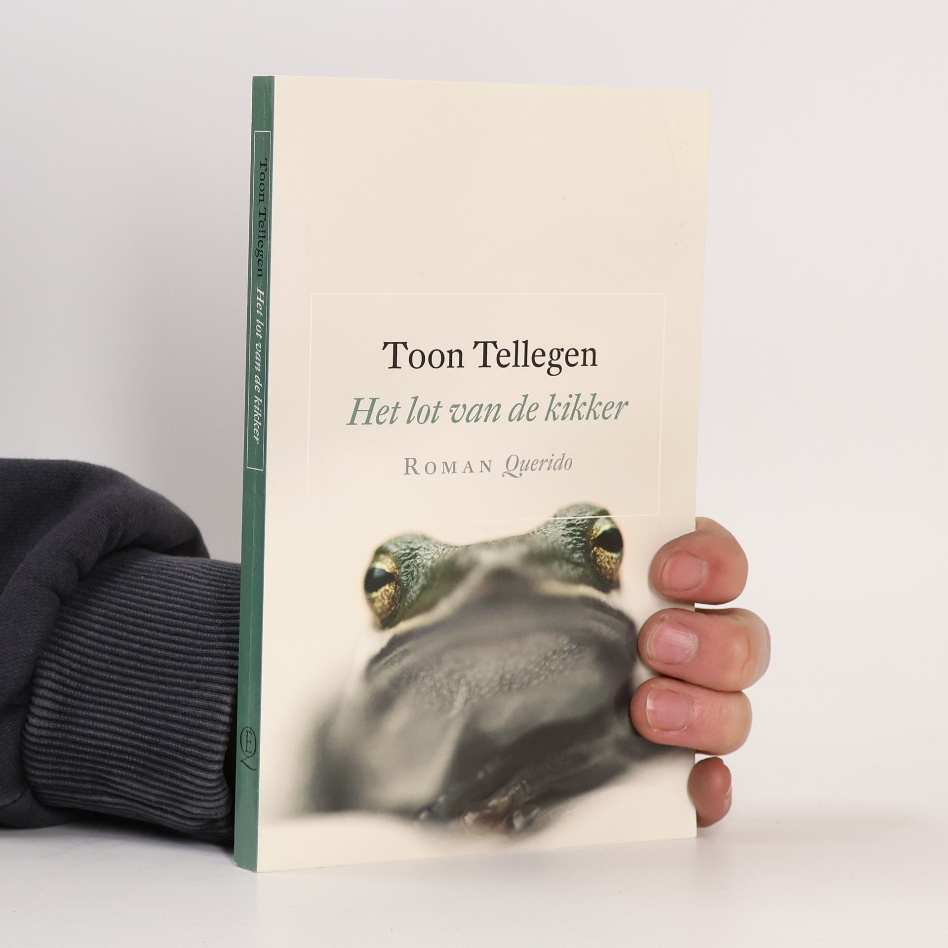 Toon Tellegen Het lot van de kikker