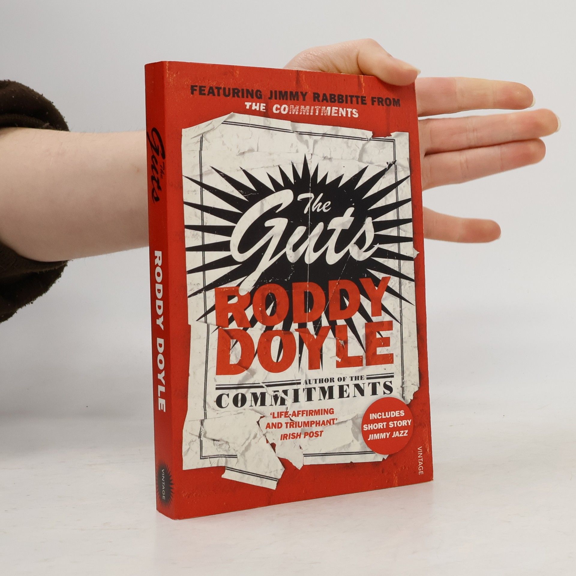 Roddy Doyle The Guts