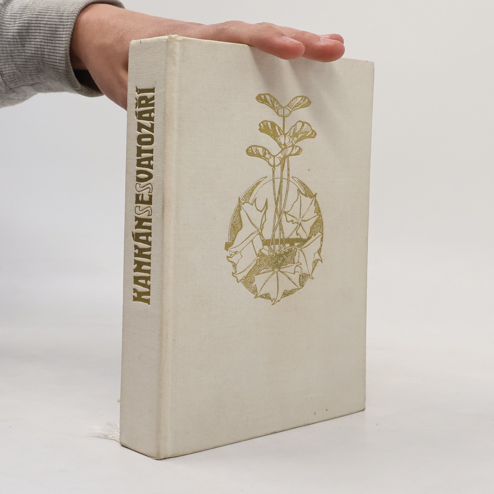 Jiří Mucha Kankán se svatozáří