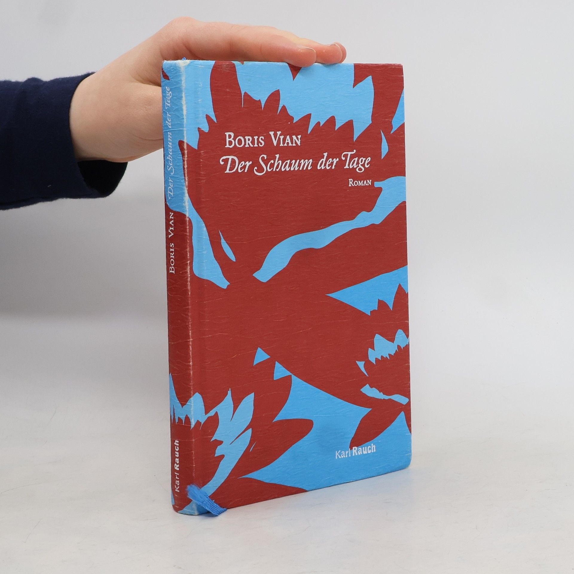 Boris Vian Der Schaum der Tage