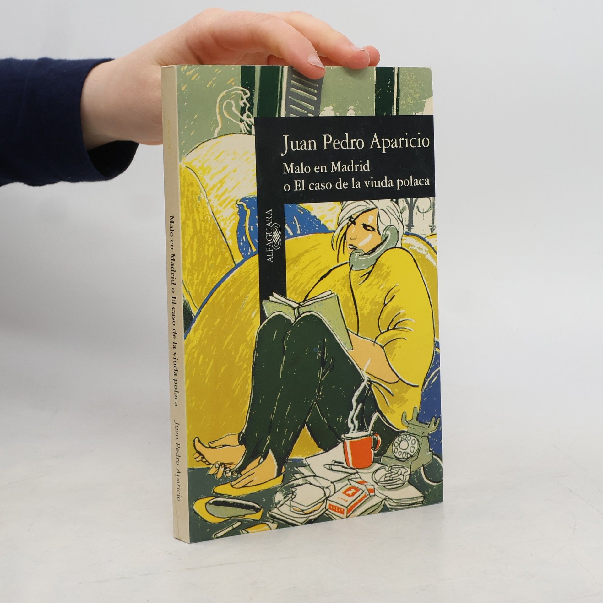 Juan Pedro Aparicio Malo en Madrid, o, El caso de la viuda polaca