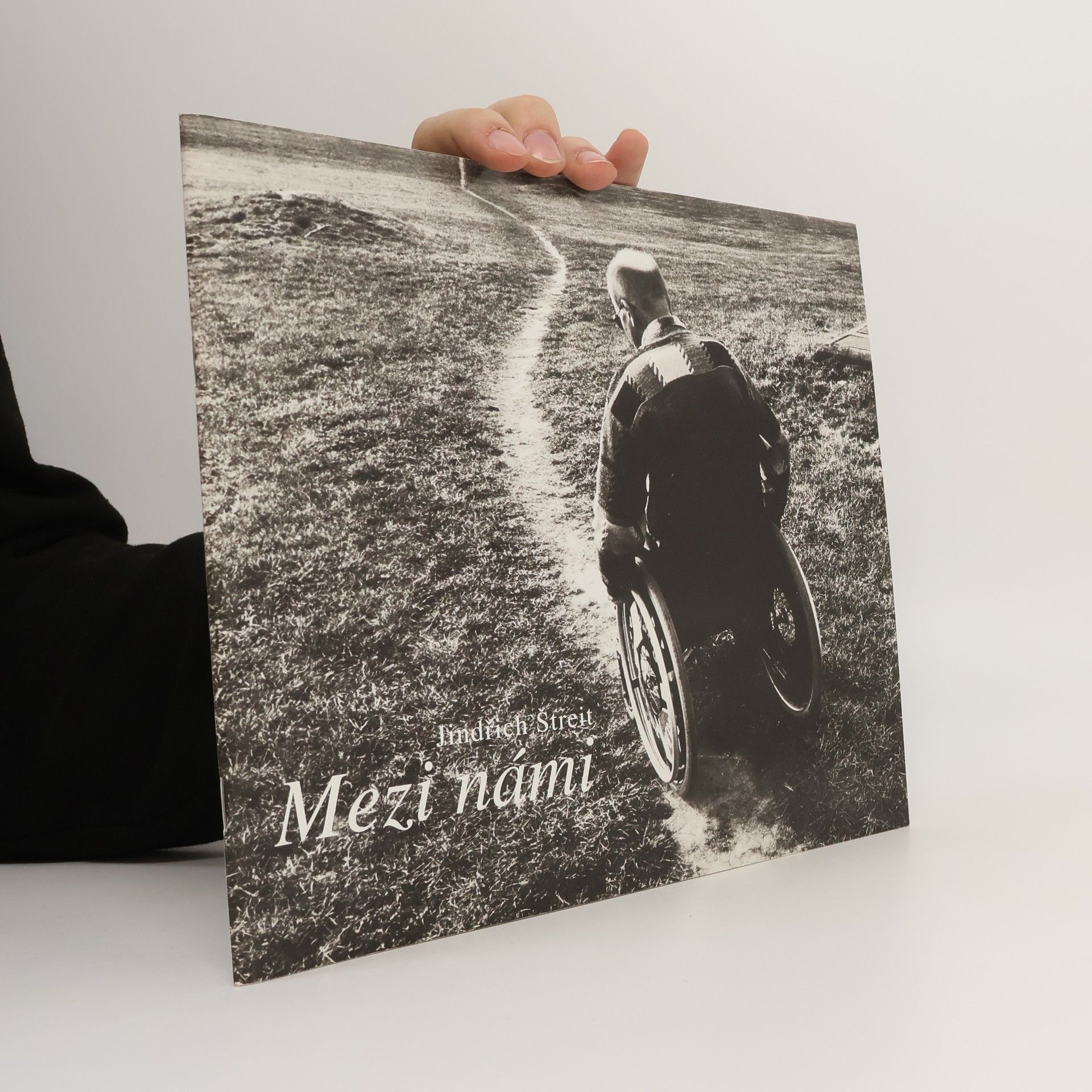 Jindřich Štreit Mezi námi = Among Us