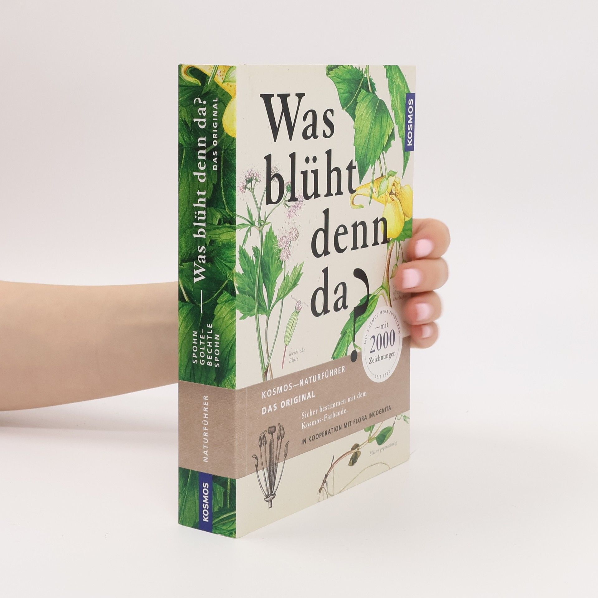 Margot Spohn Was blüht denn da - Original