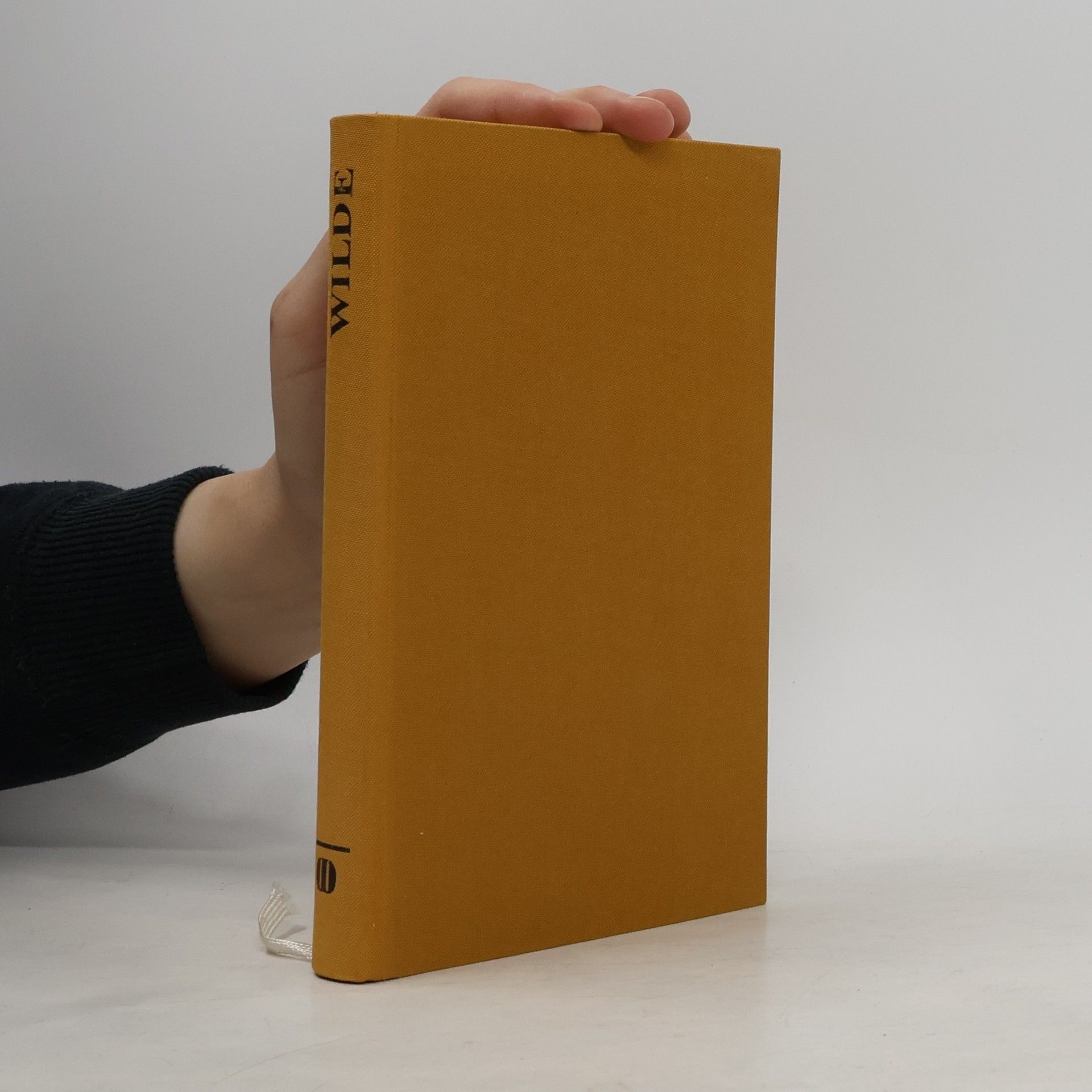 Oscar Wilde Das Bildnis des Dorian Gray