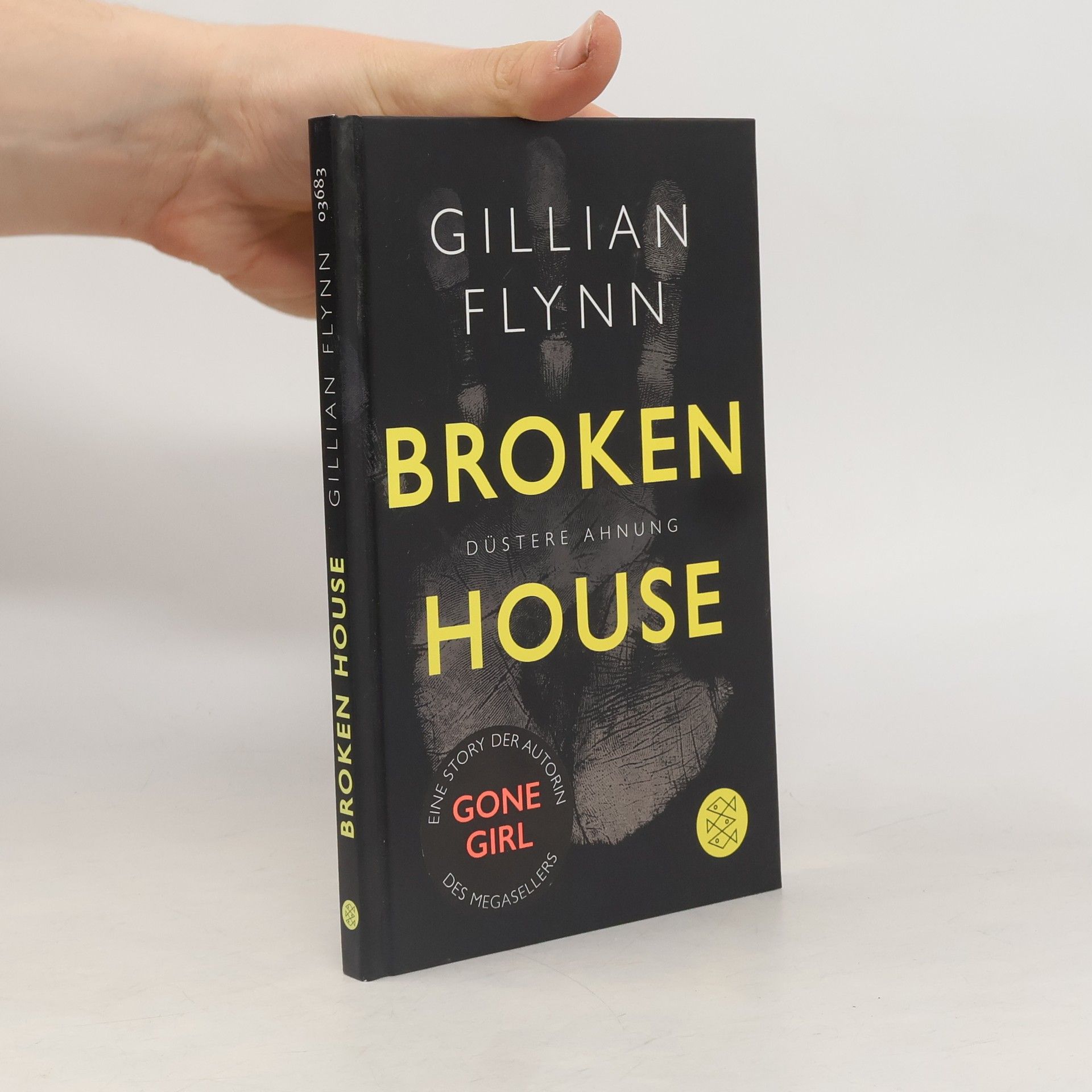 Gillian Flynn Broken House