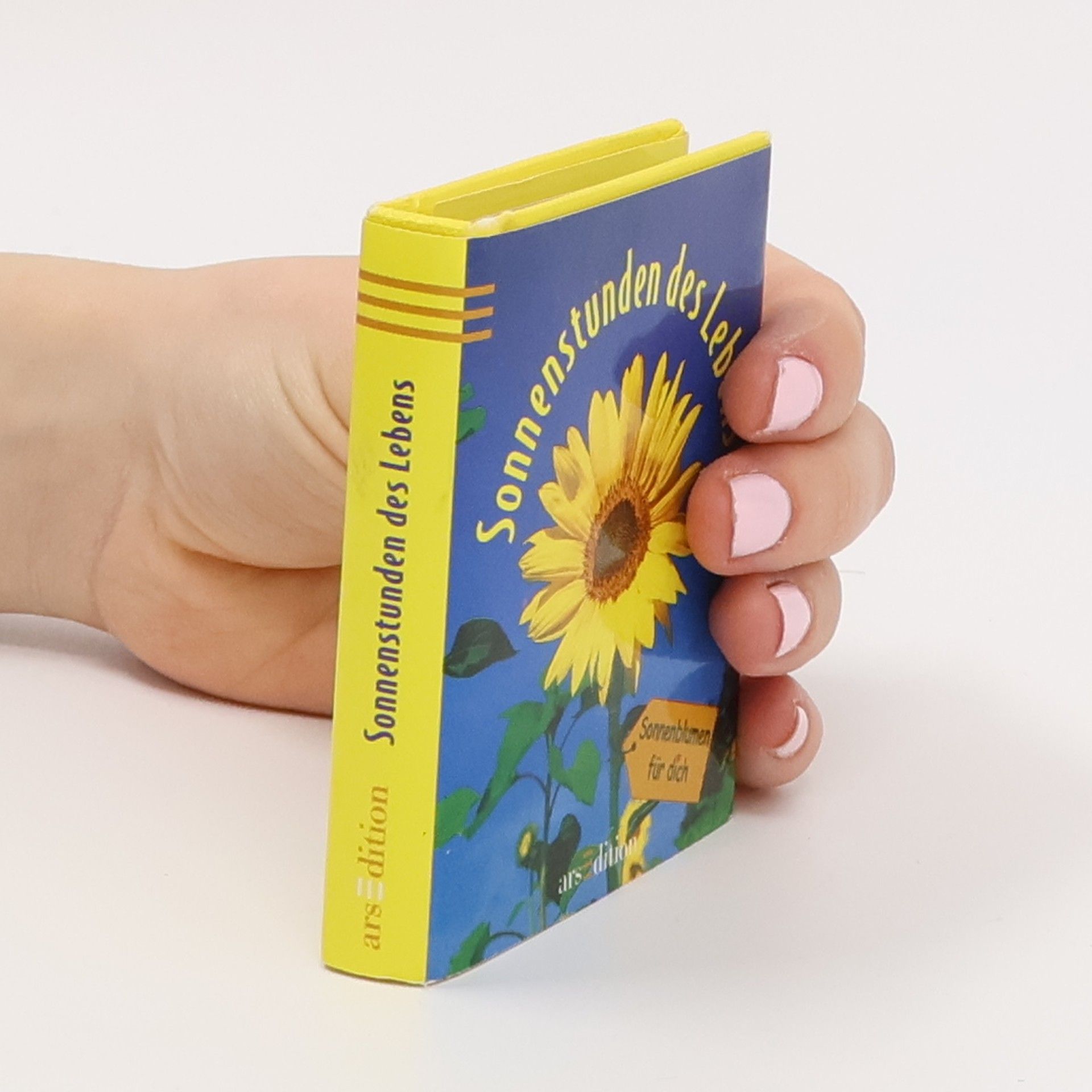 Corinna Gellrich Sonnenstunden des Lebens