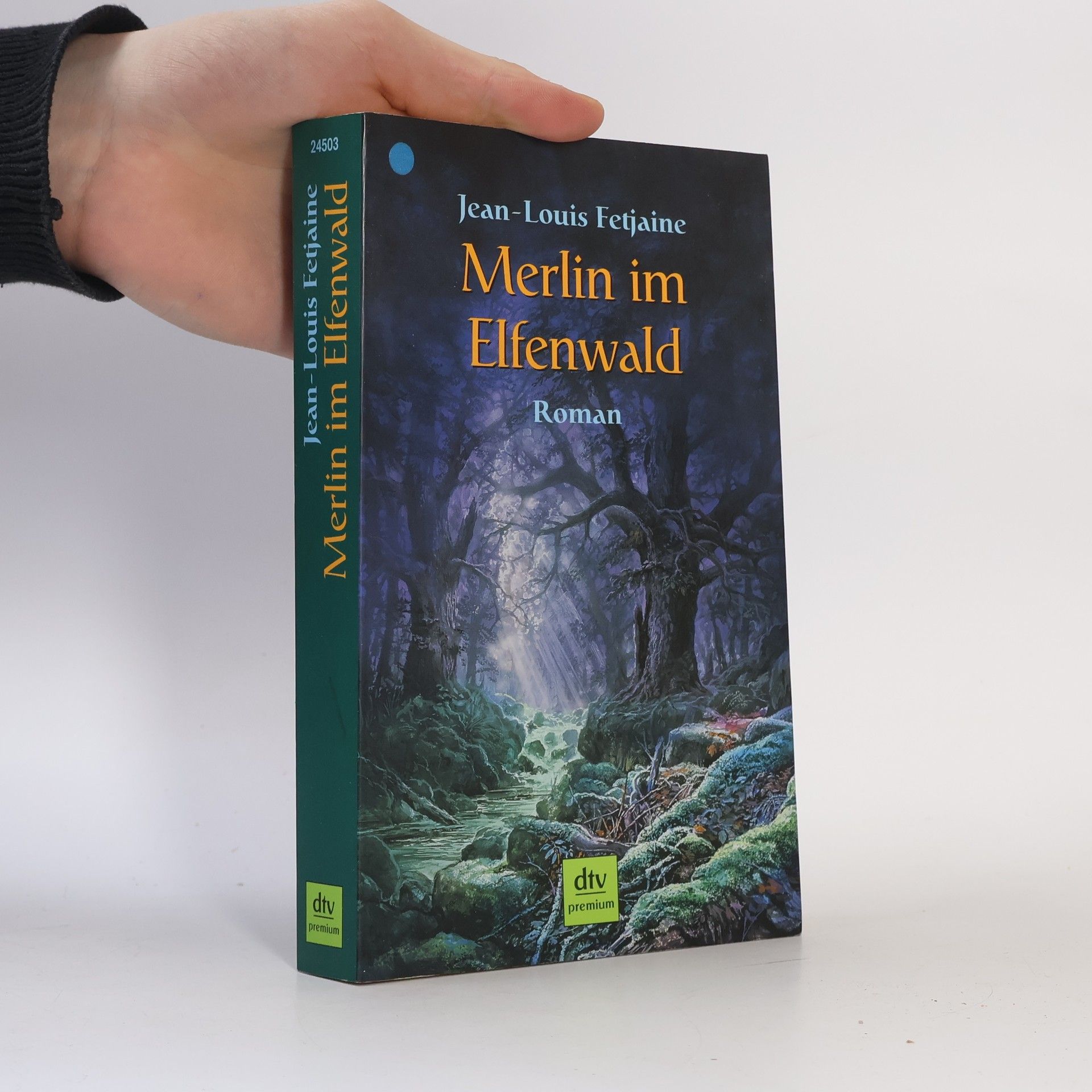 Jean-Louis Fetjaine Merlin im Elfenwald