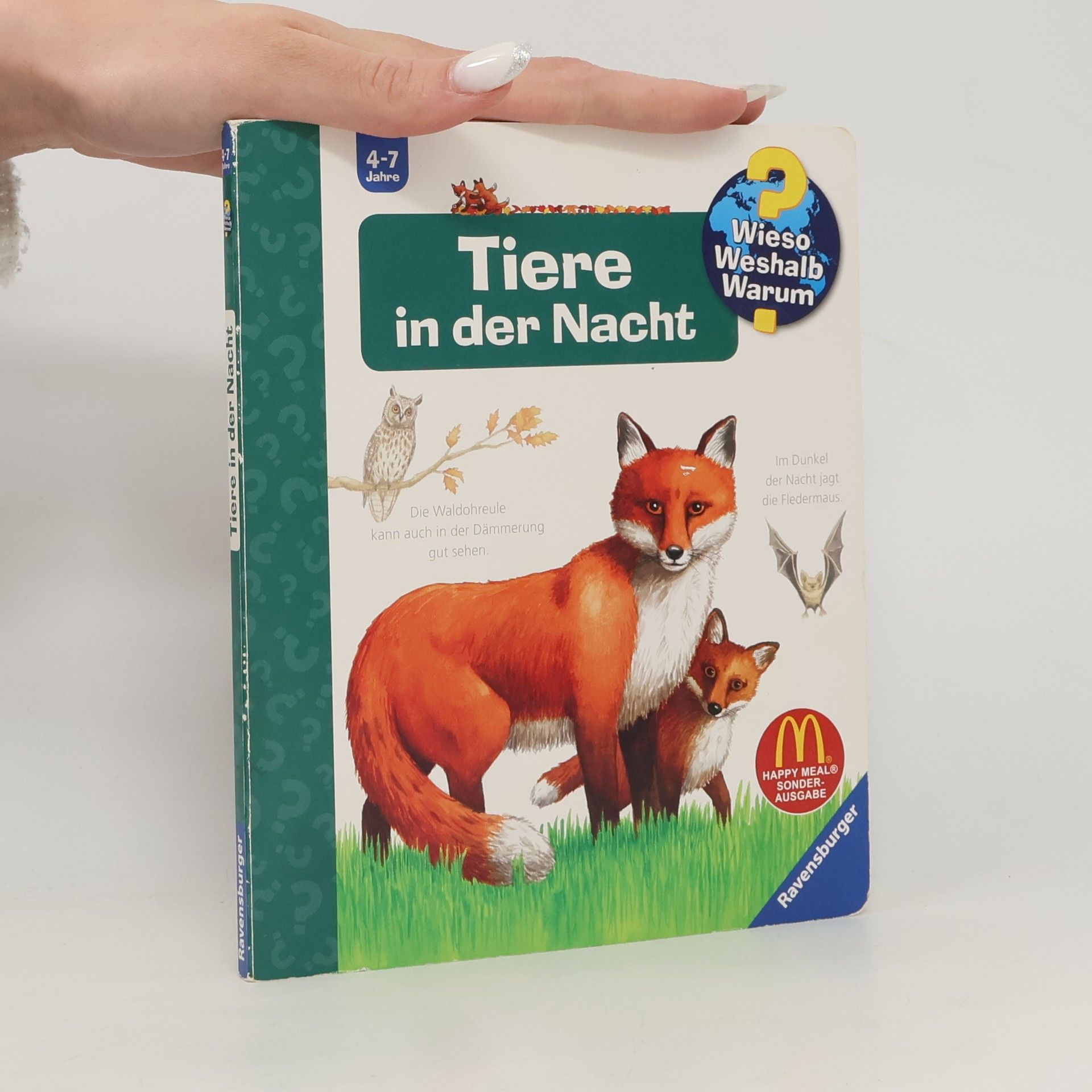 Anne Ebert Tiere in der Nacht