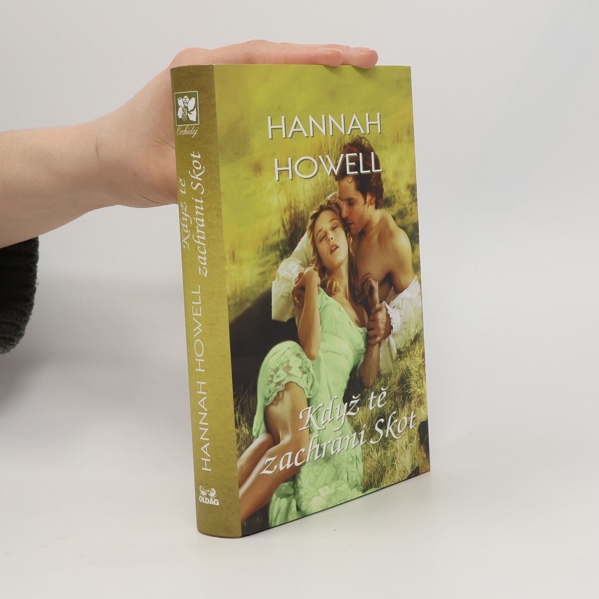 Hannah Howell Když tě zachrání Skot