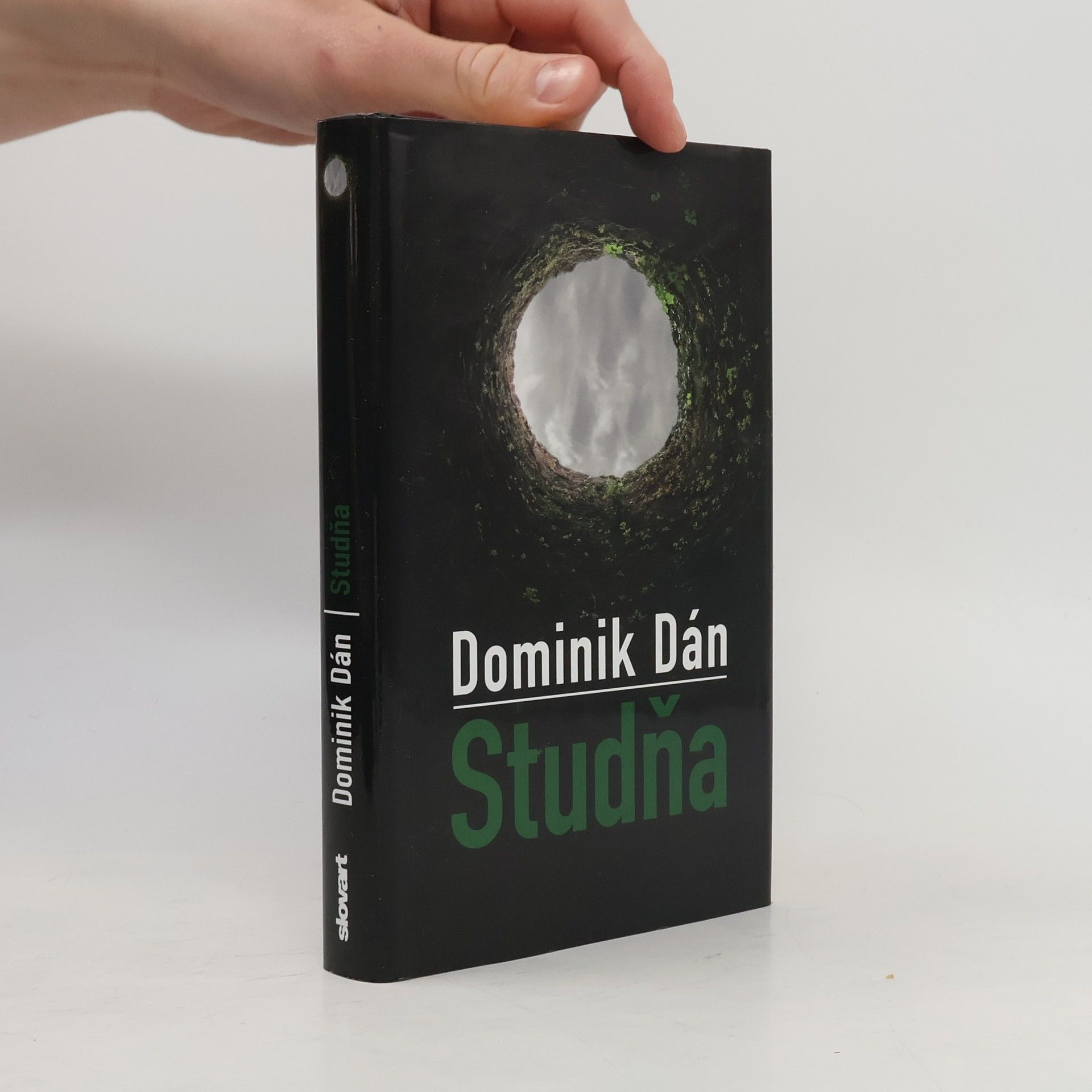 Dominik Dán Studňa