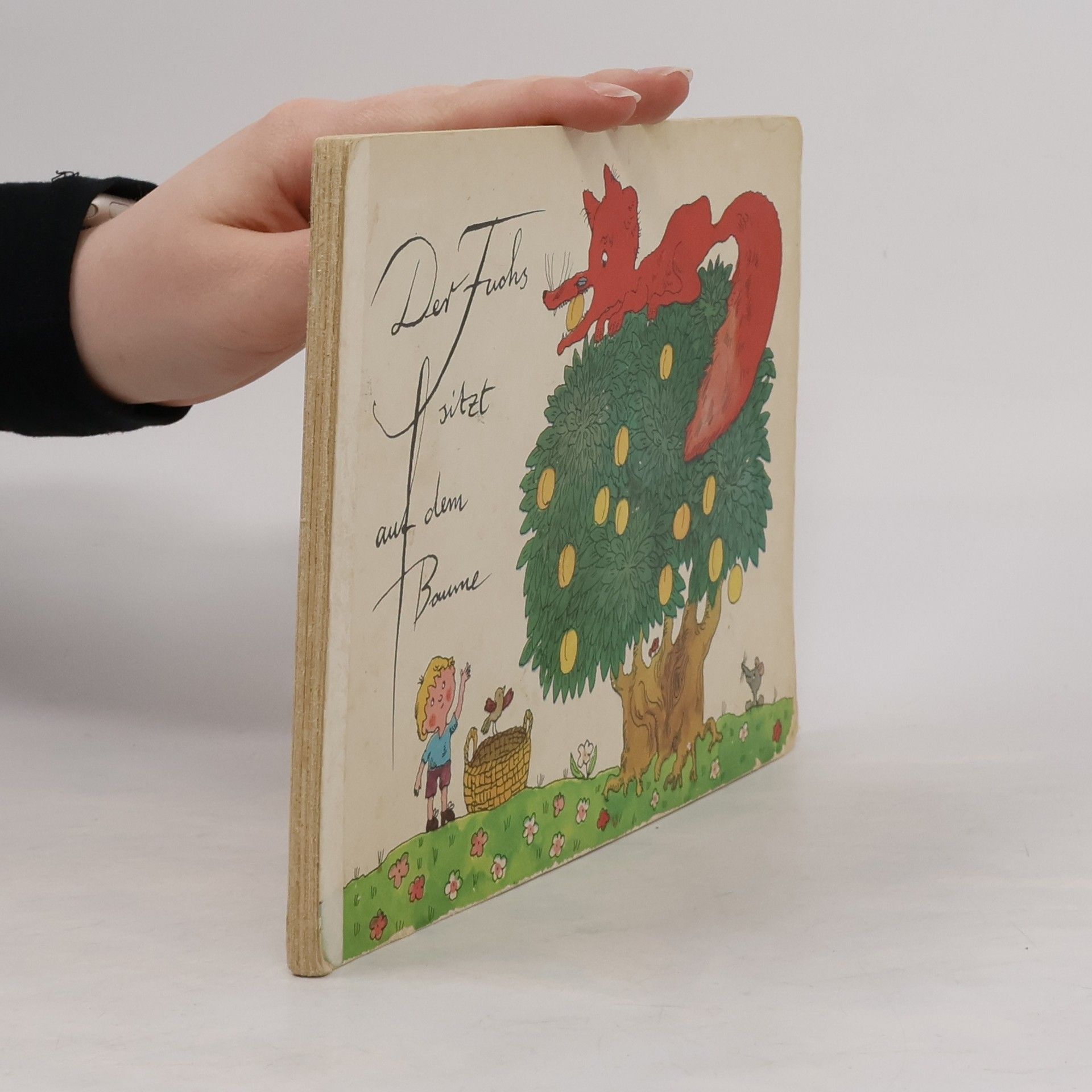 Konrad Golz Der Fuchs sitzt auf dem Baume