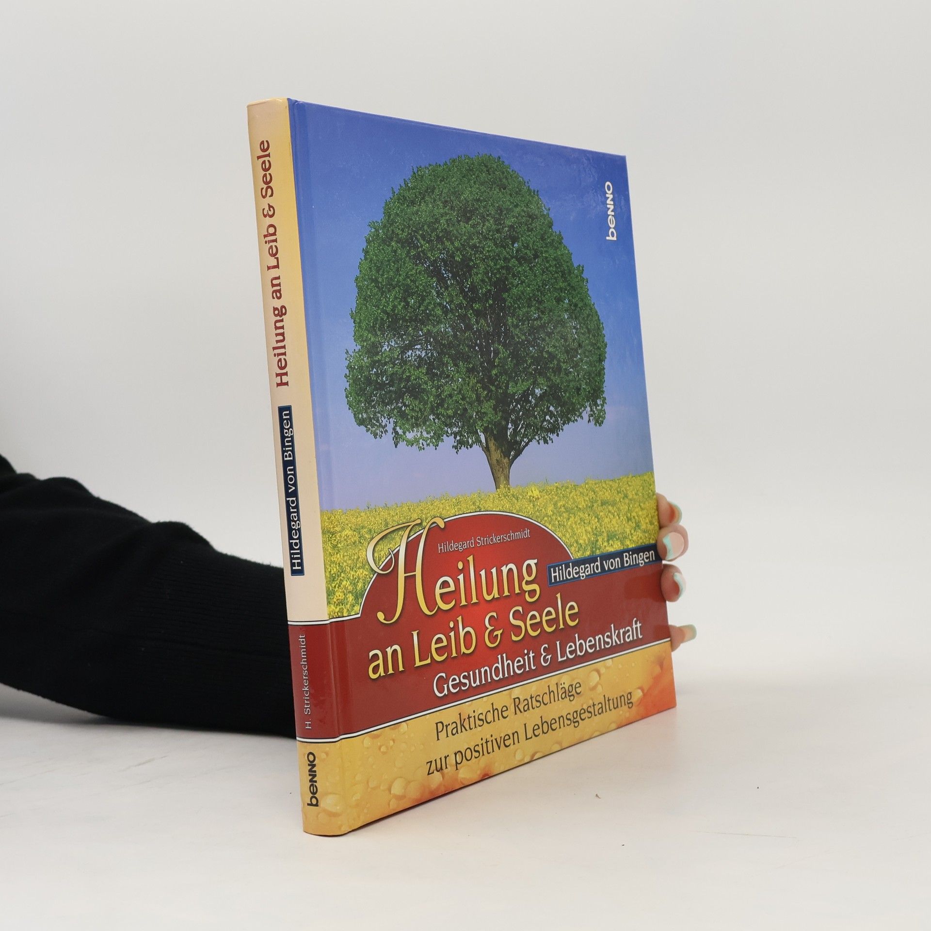 Hildegard Strickerschmidt Hildegard von Bingen - Heilung an Leib & Seele
