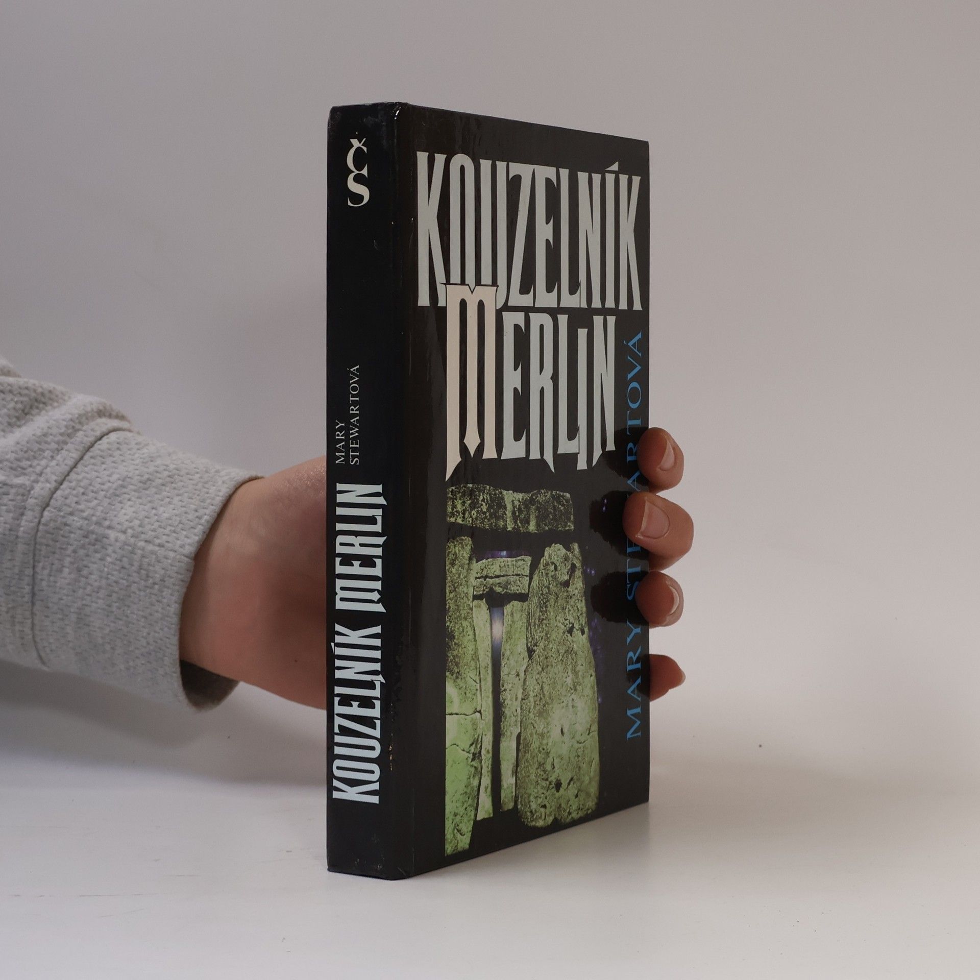 Mary Stewart Kouzelník Merlin