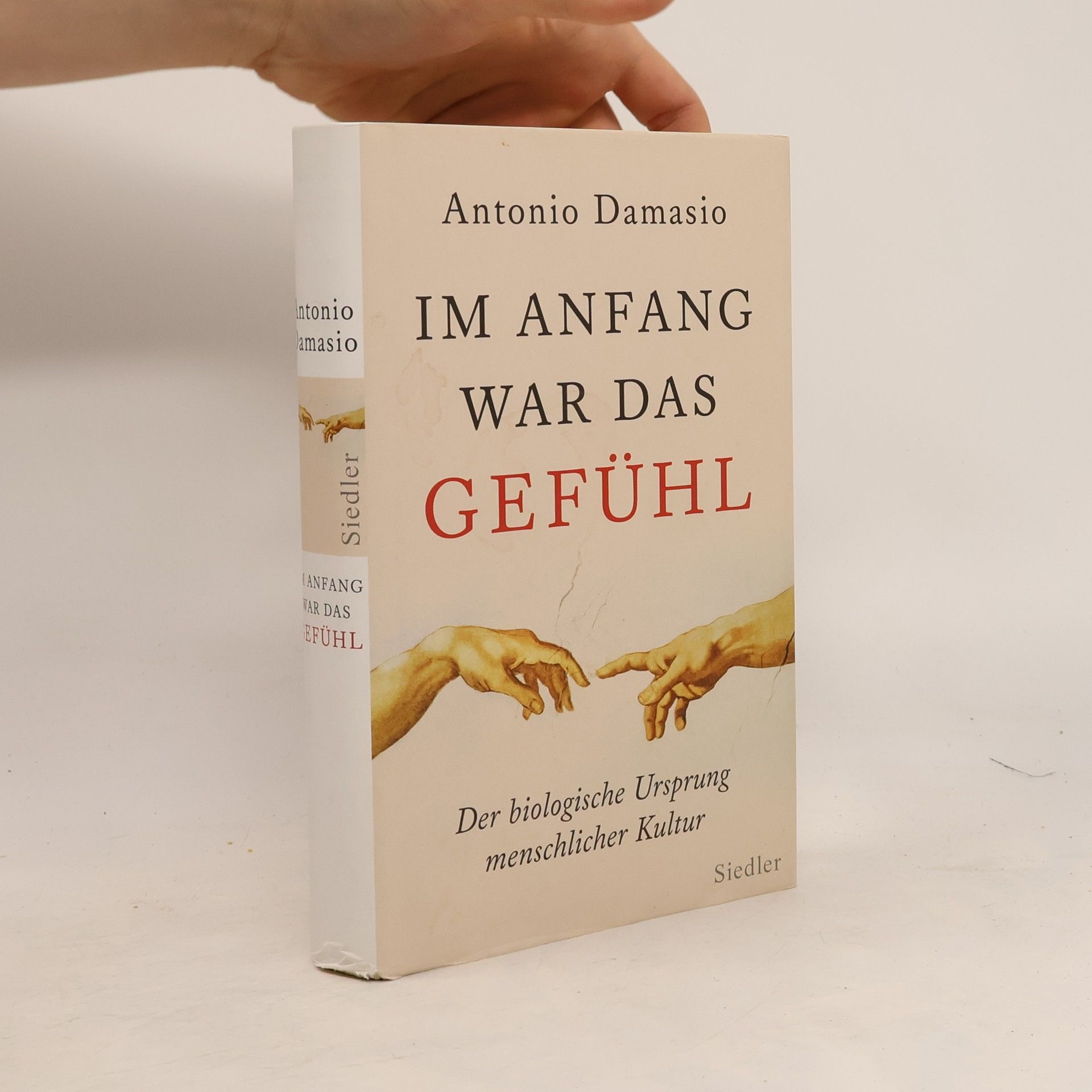 António Damásio Im Anfang war das Gefühl
