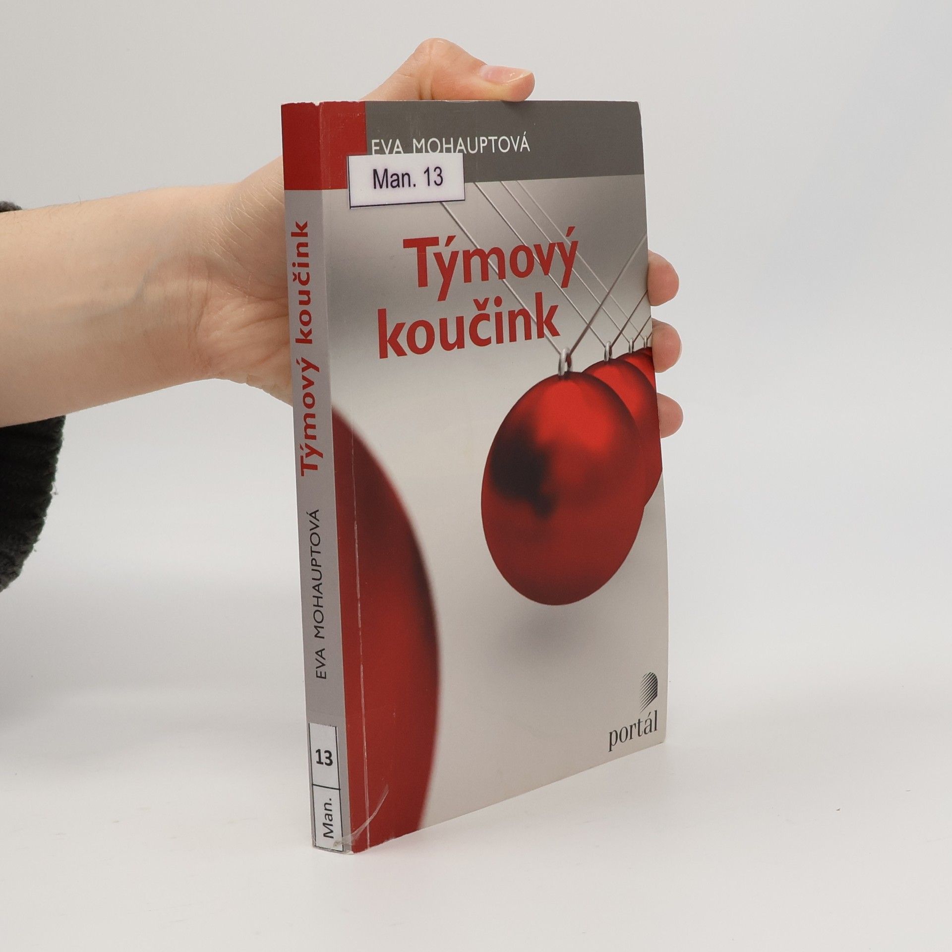 Eva Mohauptová Týmový koučink