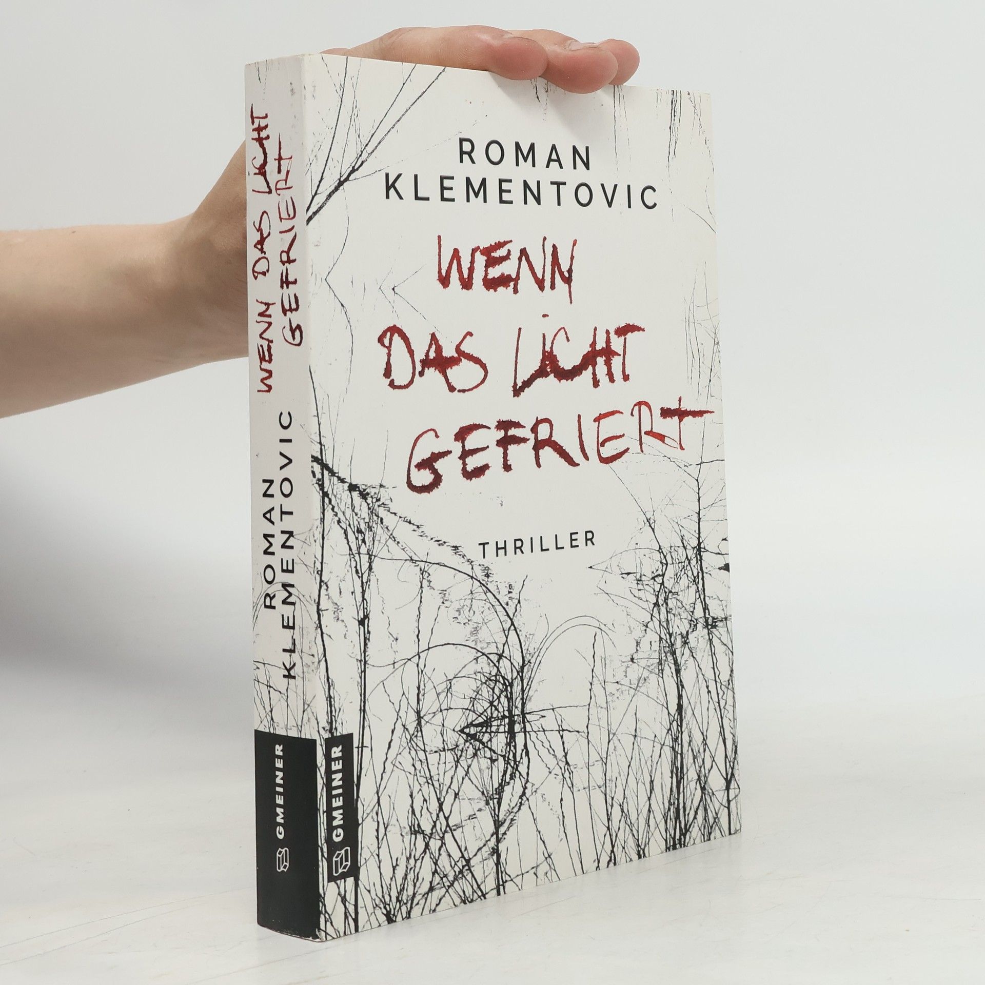 Roman Klementovic Wenn das Licht gefriert