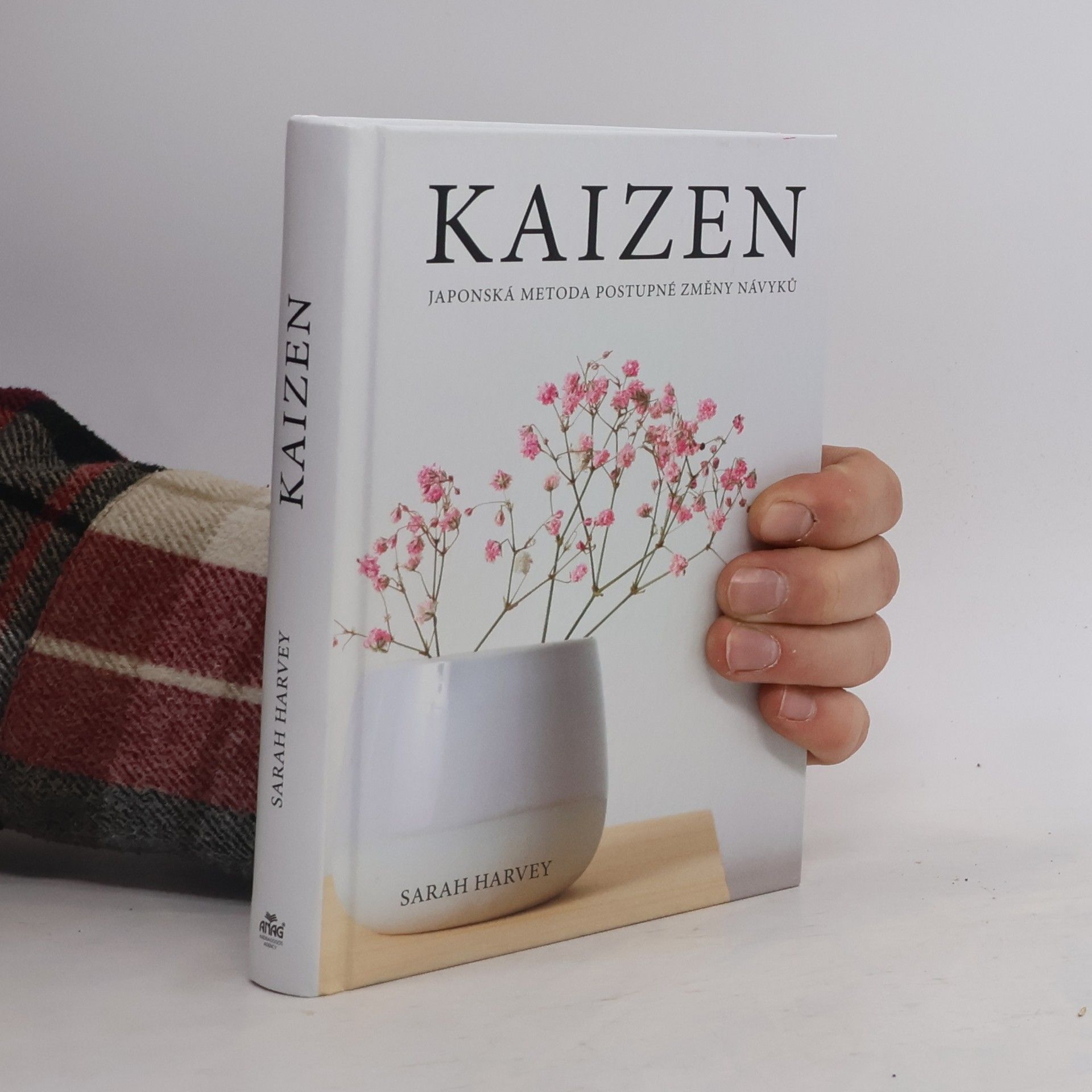 Sarah Harvey Kaizen: Japonská metoda postupné změny návyků