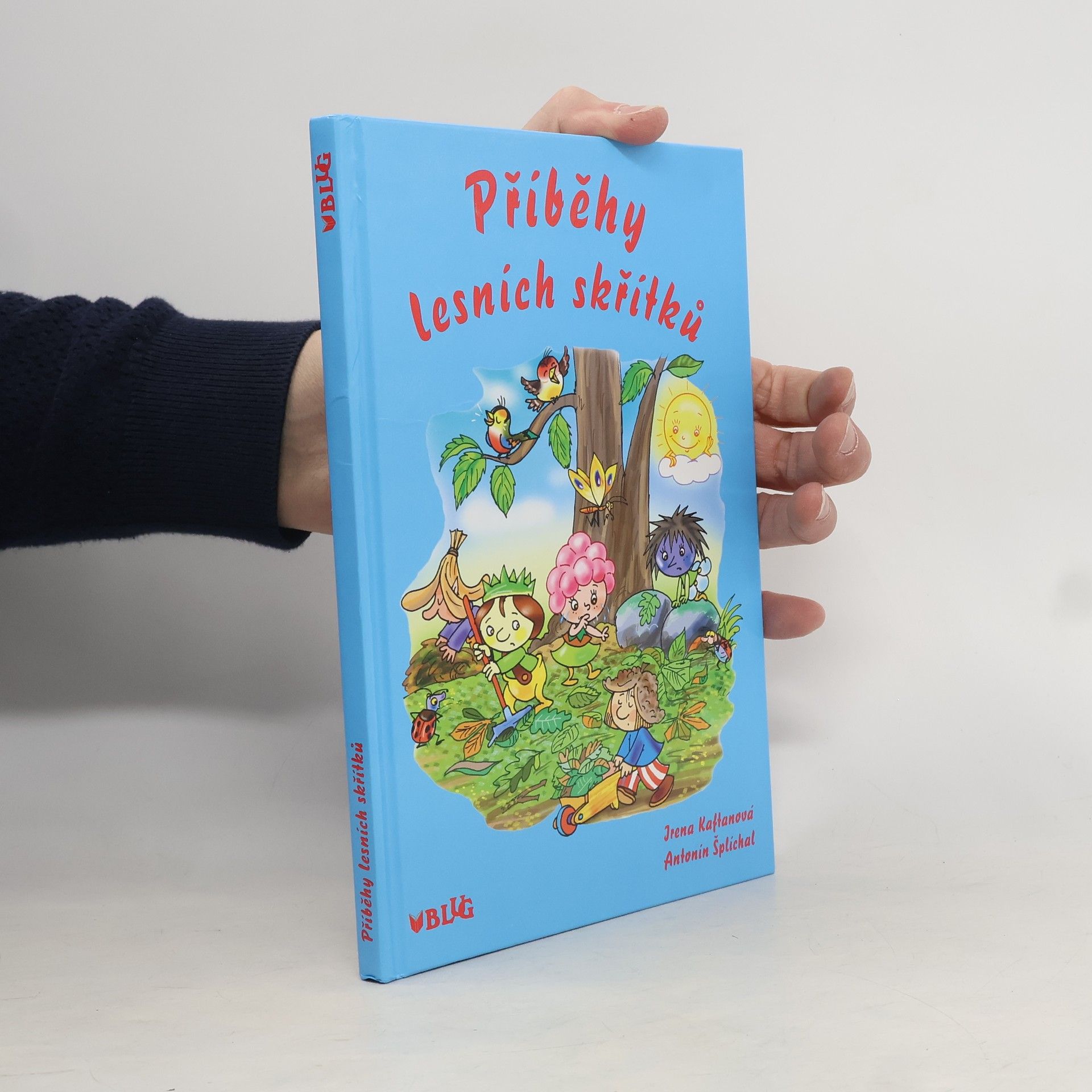 Irena Kaftanová Příběhy lesních skřítků