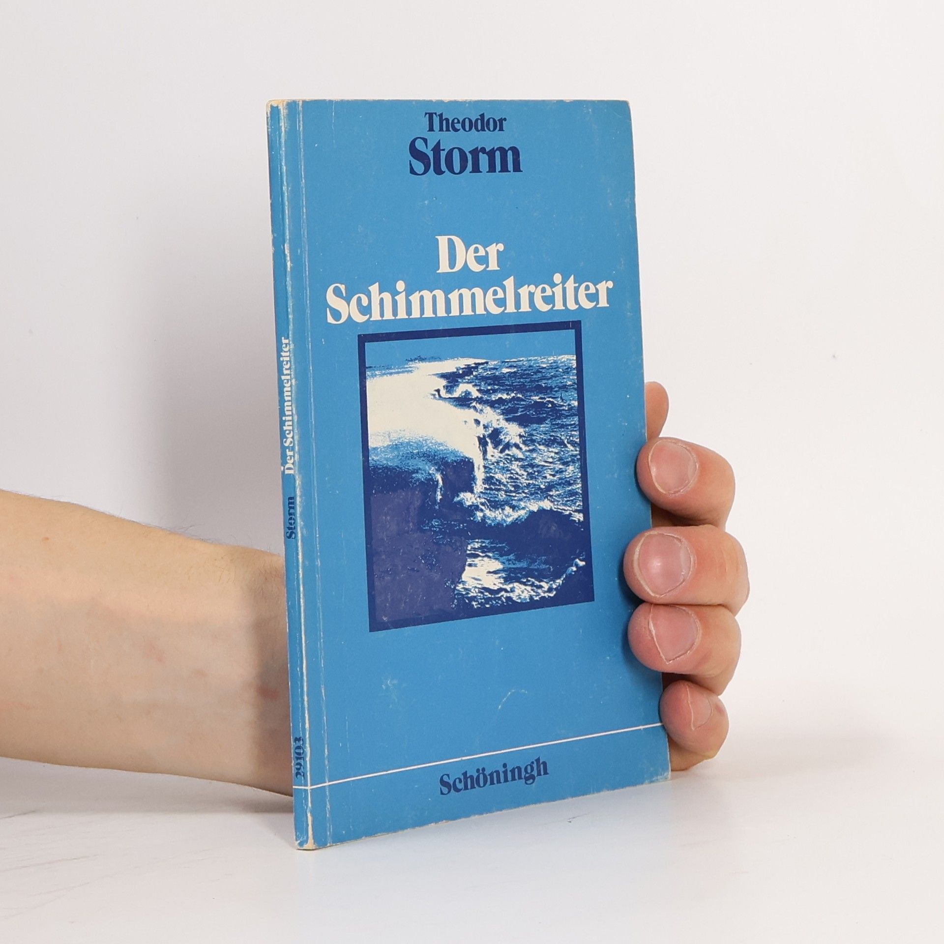 Theodor Storm Der Schimmelreiter
