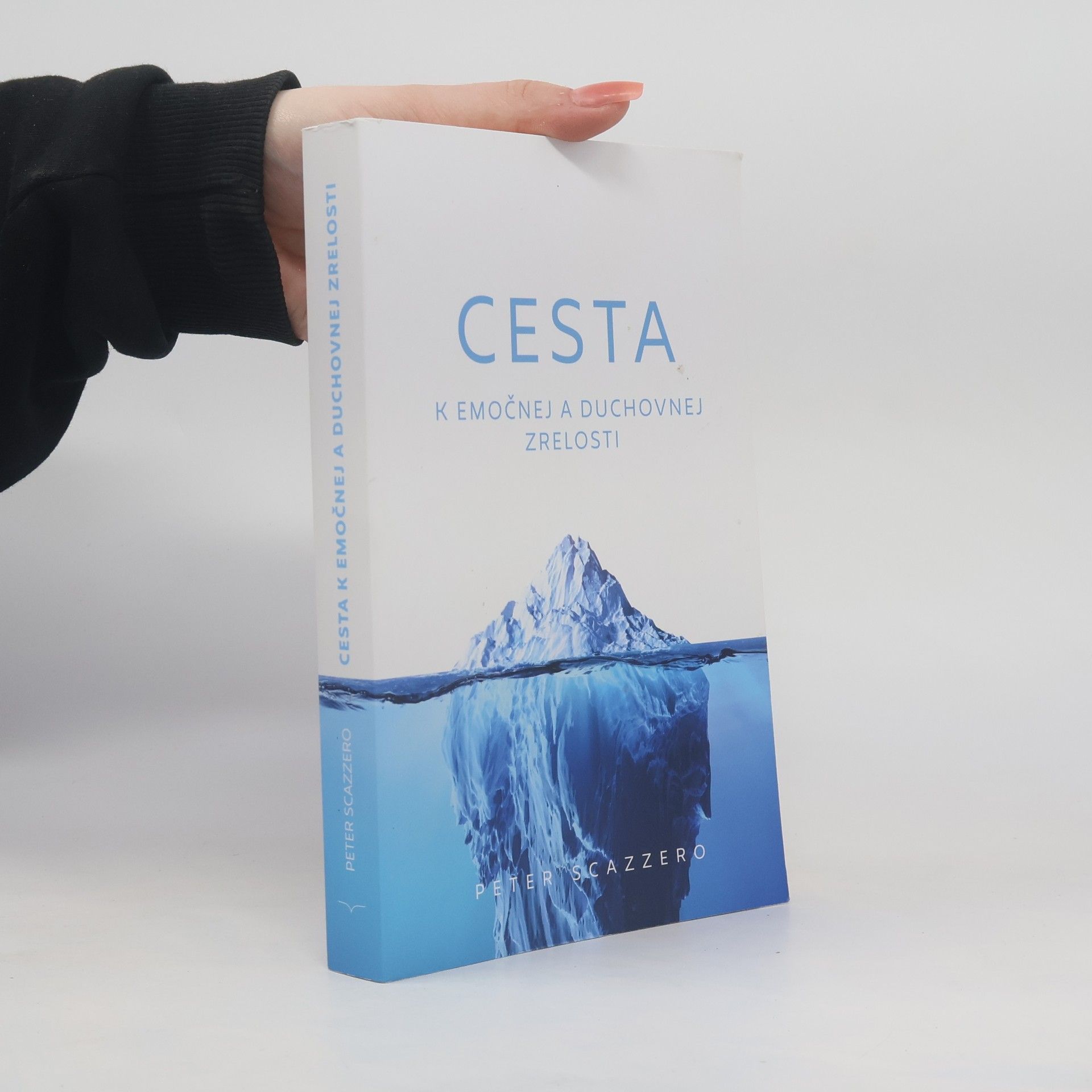 Peter Scazzero Cesta k emočnej a duchovnej zrelosti