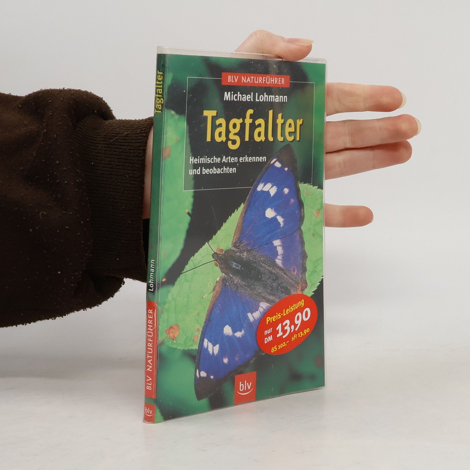 Michael Lohmann Tagfalter