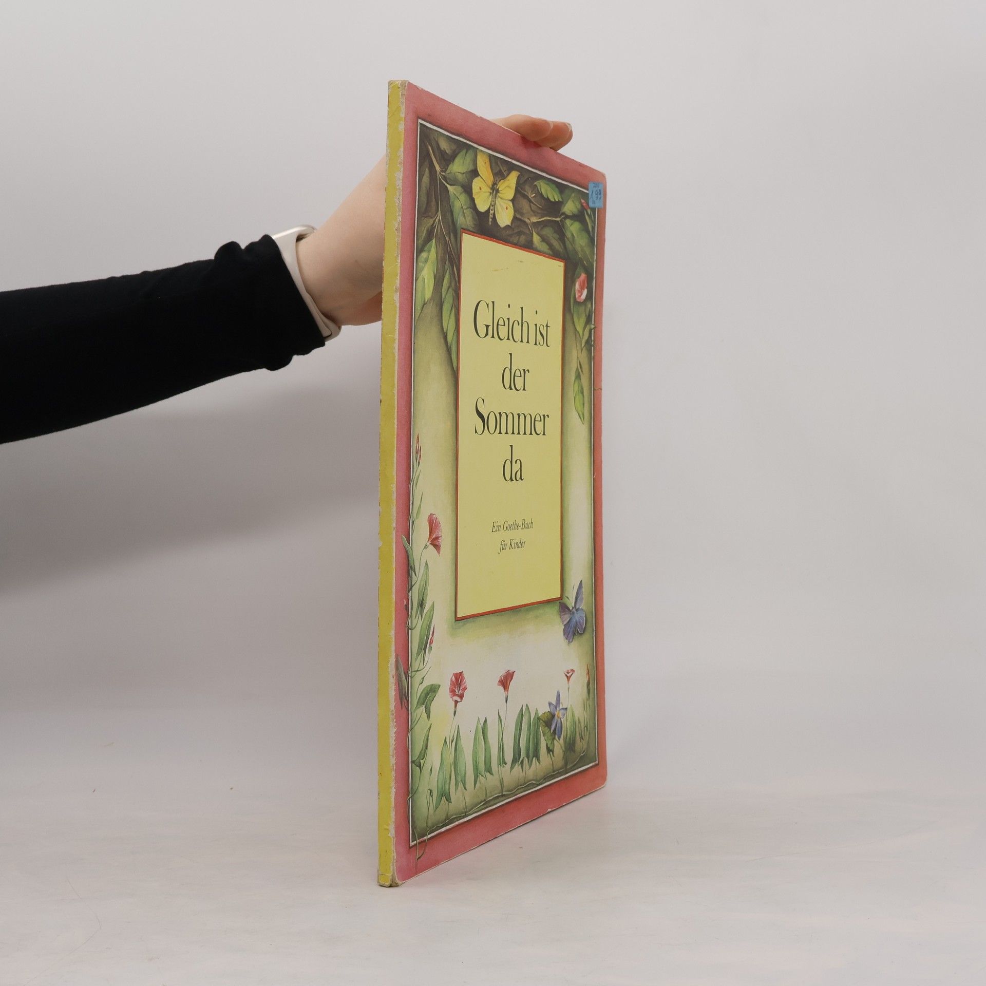 Johann Wolfgang von Goethe Gleich ist der Sommer da