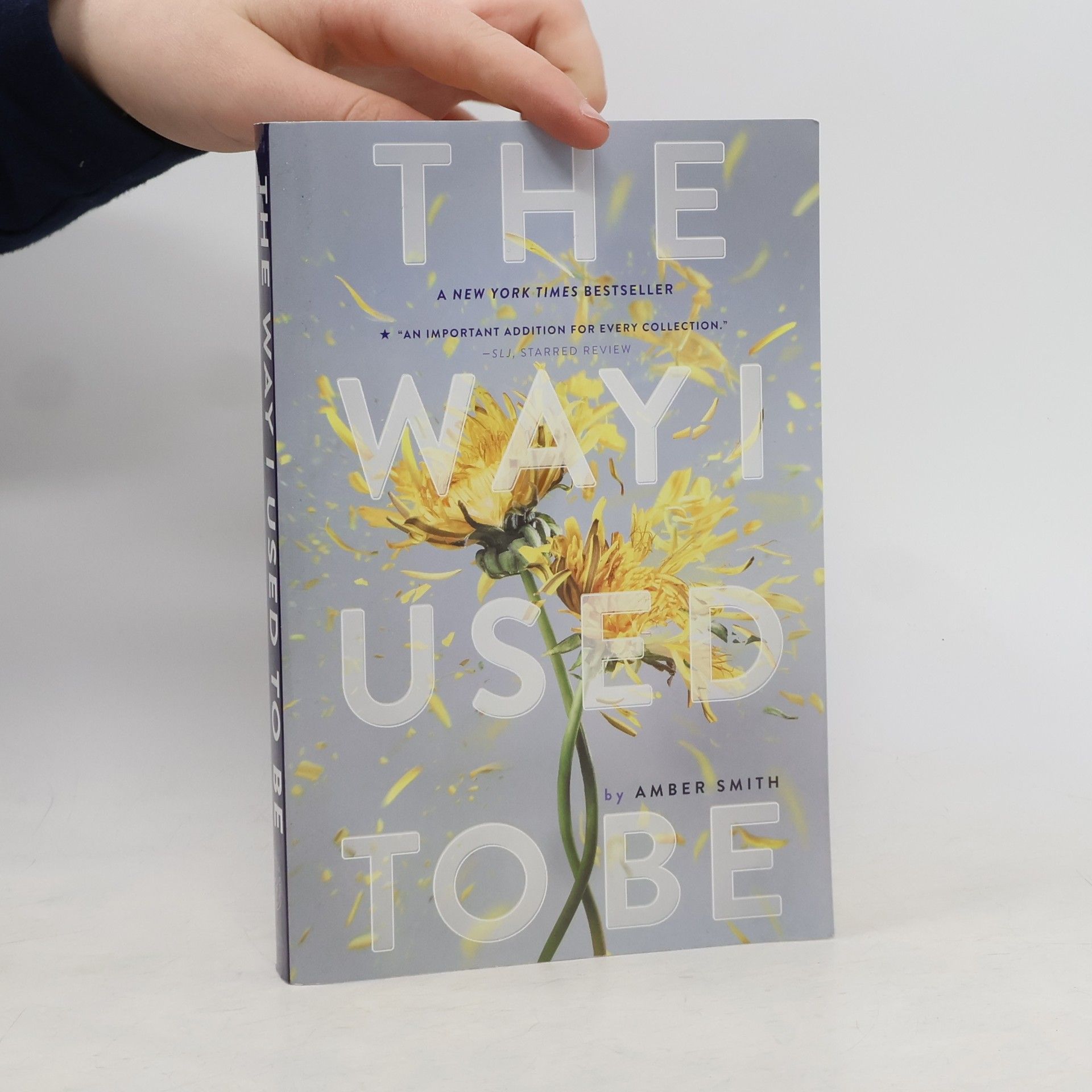 Amber Smith The Way I Used to Be