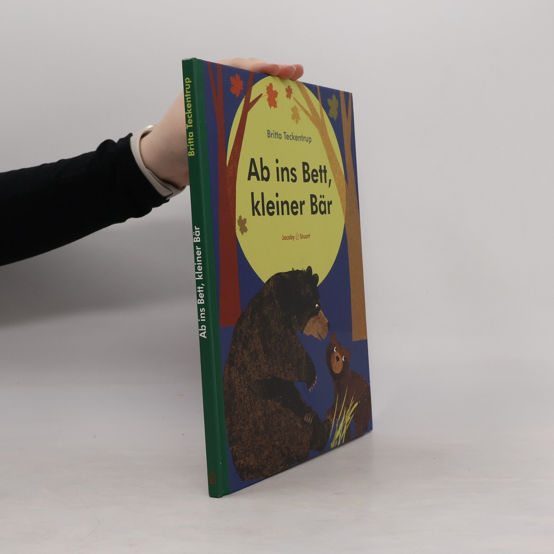 Britta Teckentrup Ab ins Bett, kleiner Bär
