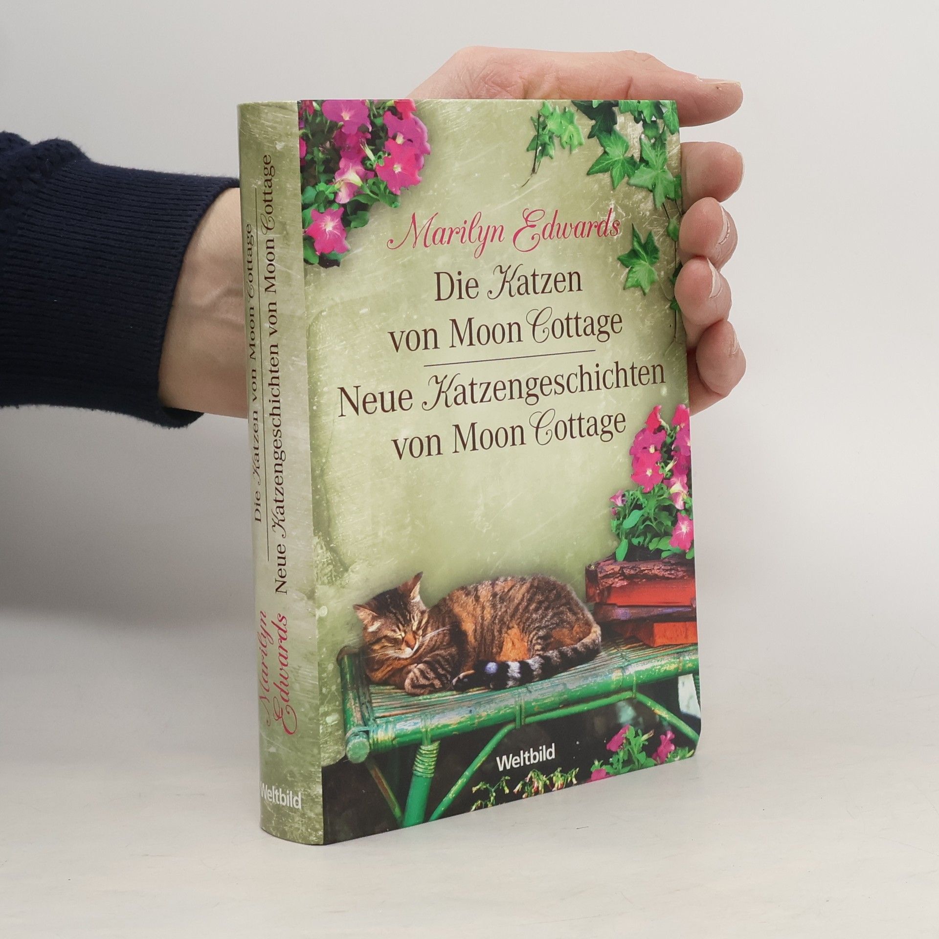 Marilyn Edwards Die Katzen von Moon Cottage