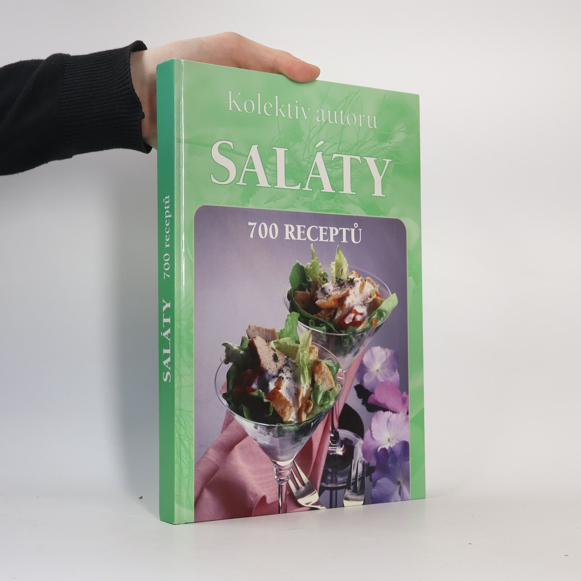 Various authors Saláty. 700 receptů