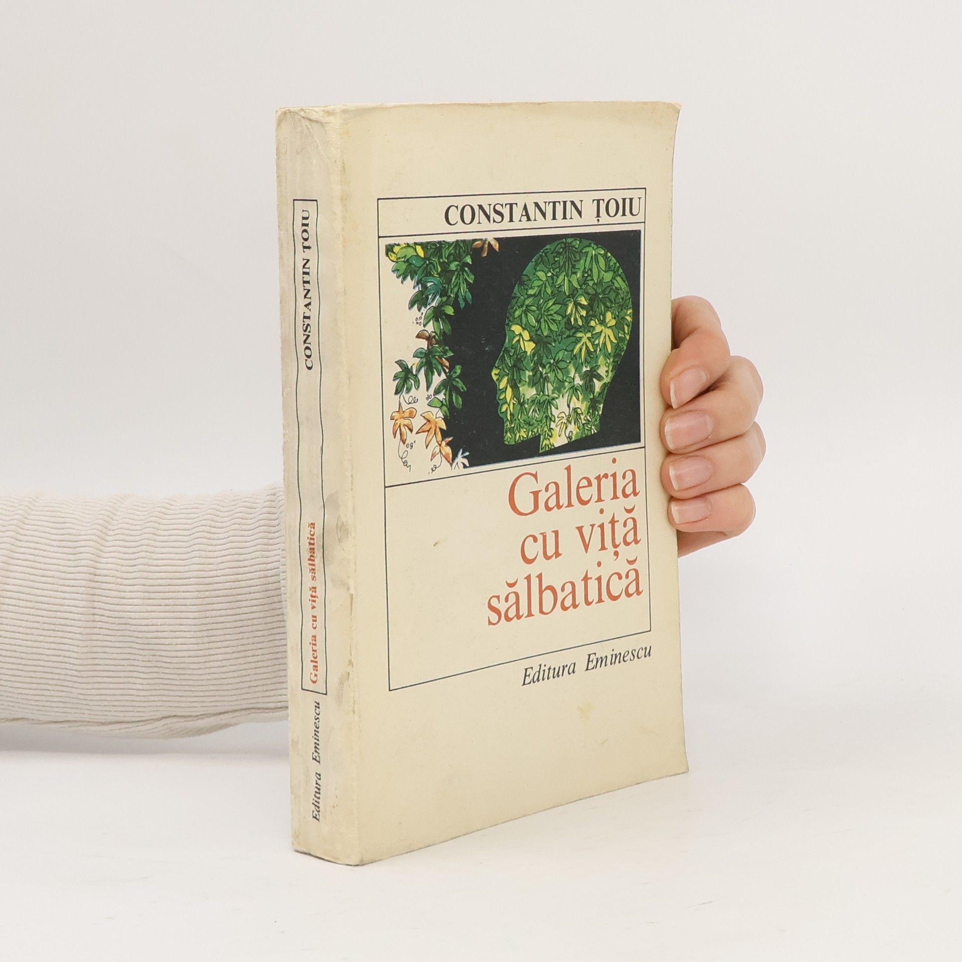 Constantin Țoiu Galeria cu viță sălbatică