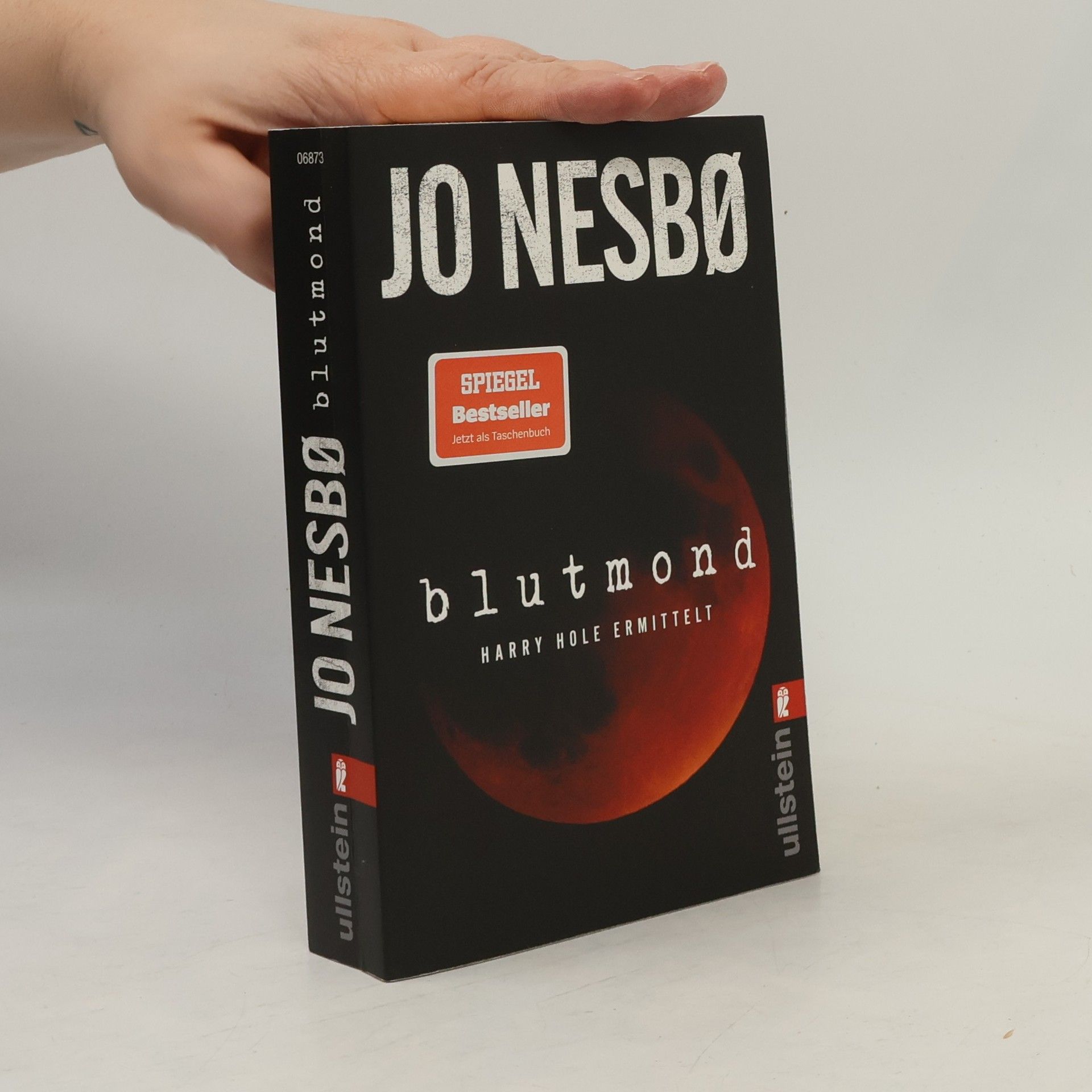 Blutmond (Ein Harry-Hole-Krimi 13)