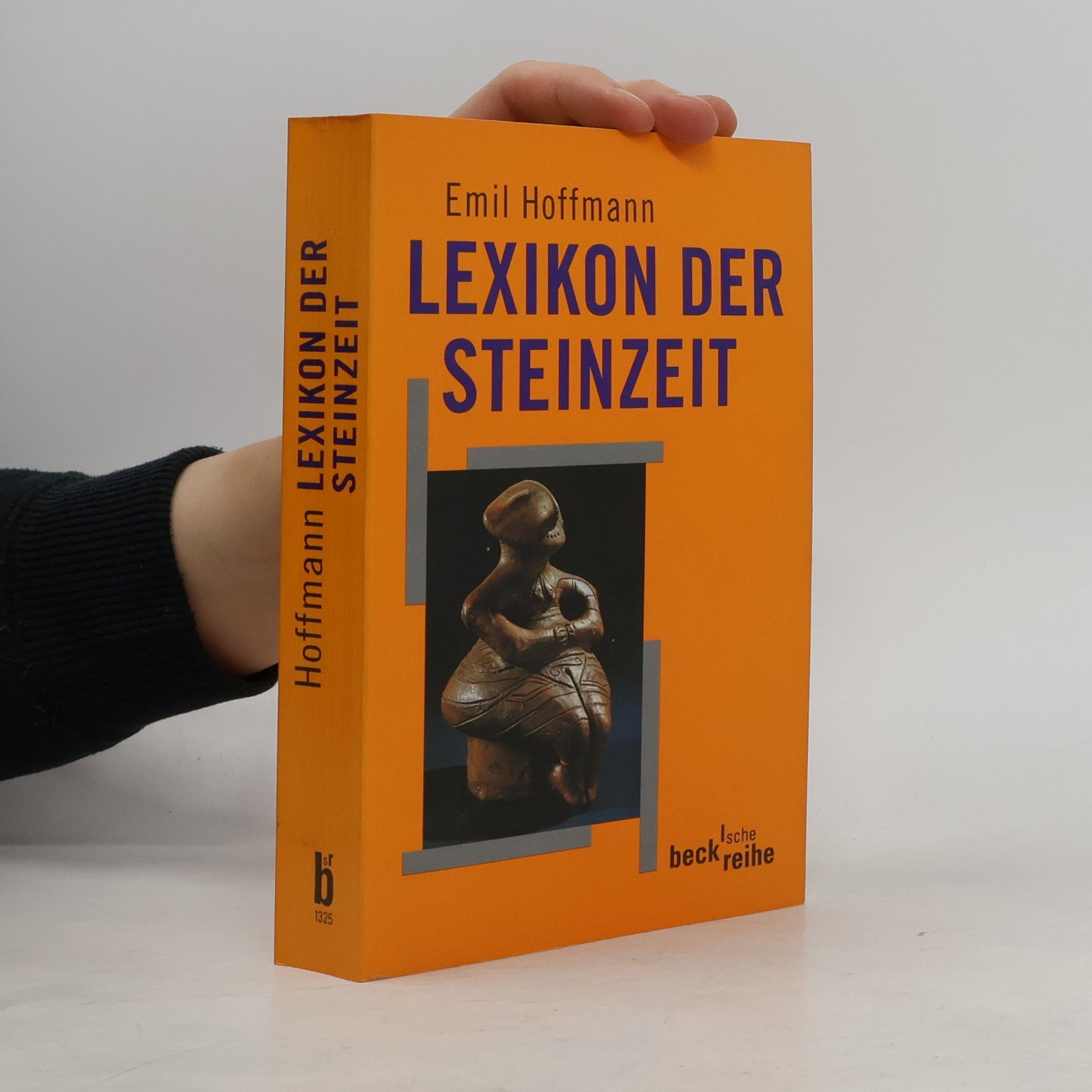 Emil Hoffmann Lexikon der Steinzeit