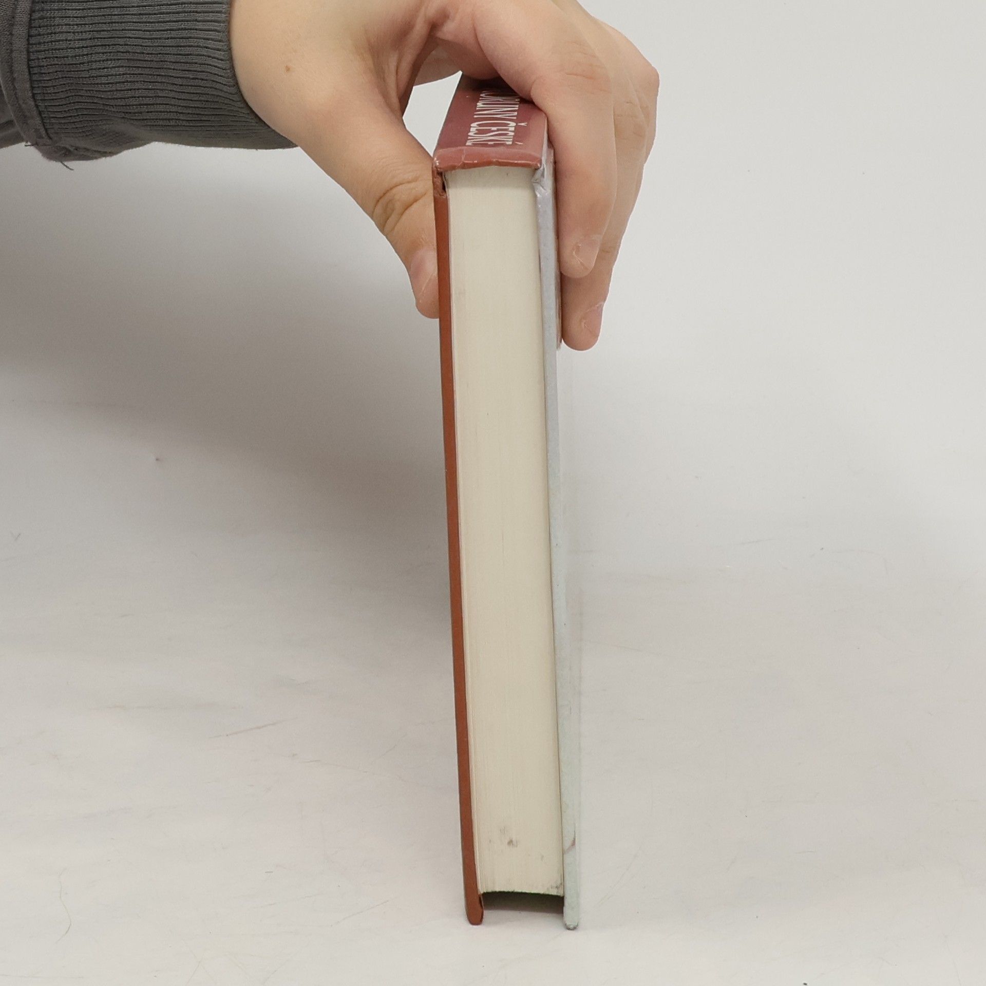 Collectif d'auteurs Dějiny zemí Koruny české II.