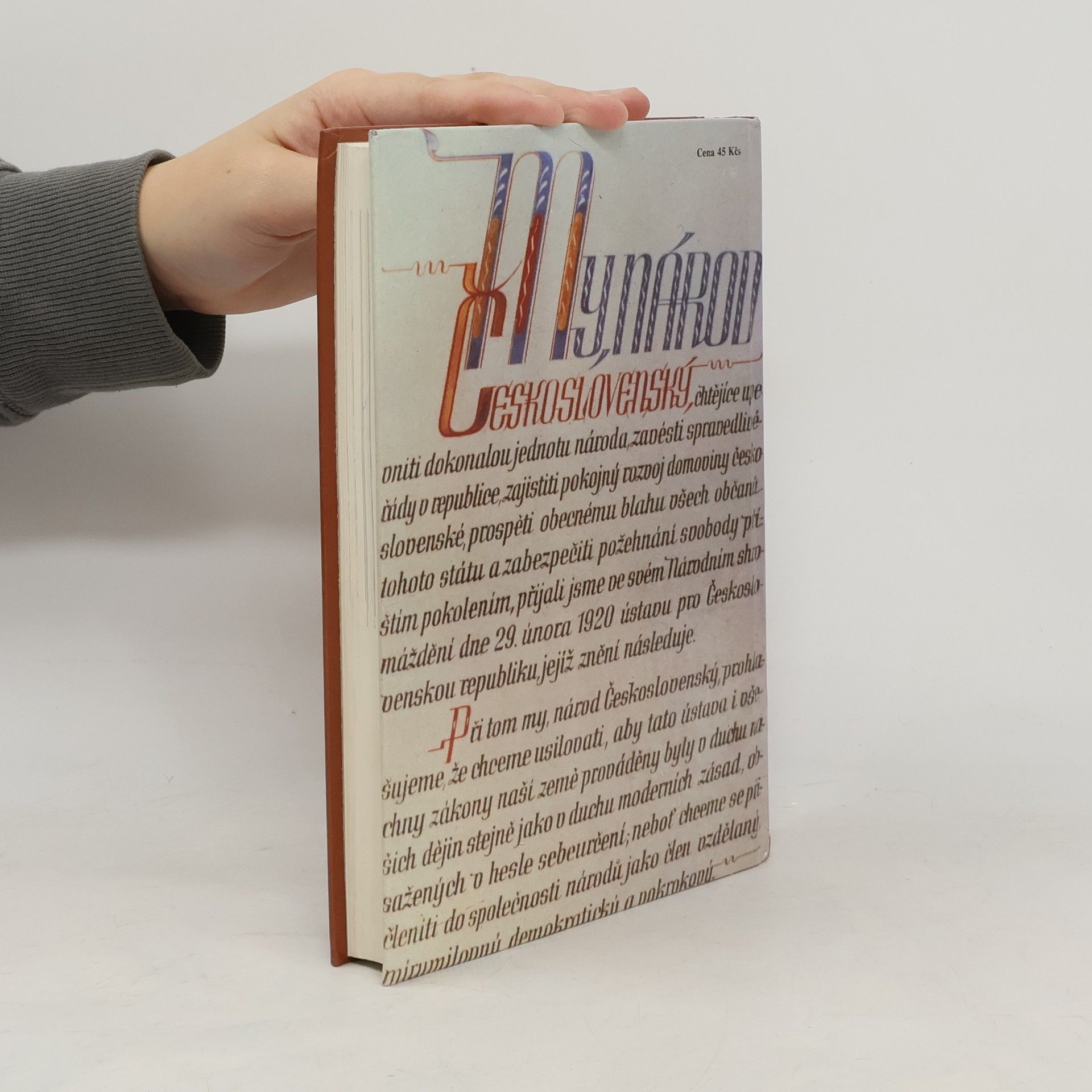Collectif d'auteurs Dějiny zemí Koruny české II.