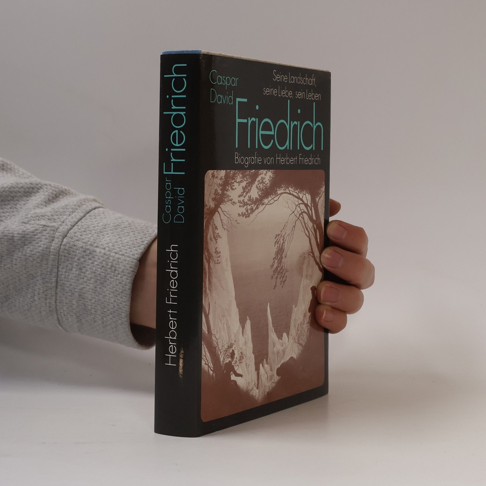 Herbert Friedrich Caspar David Friedrich