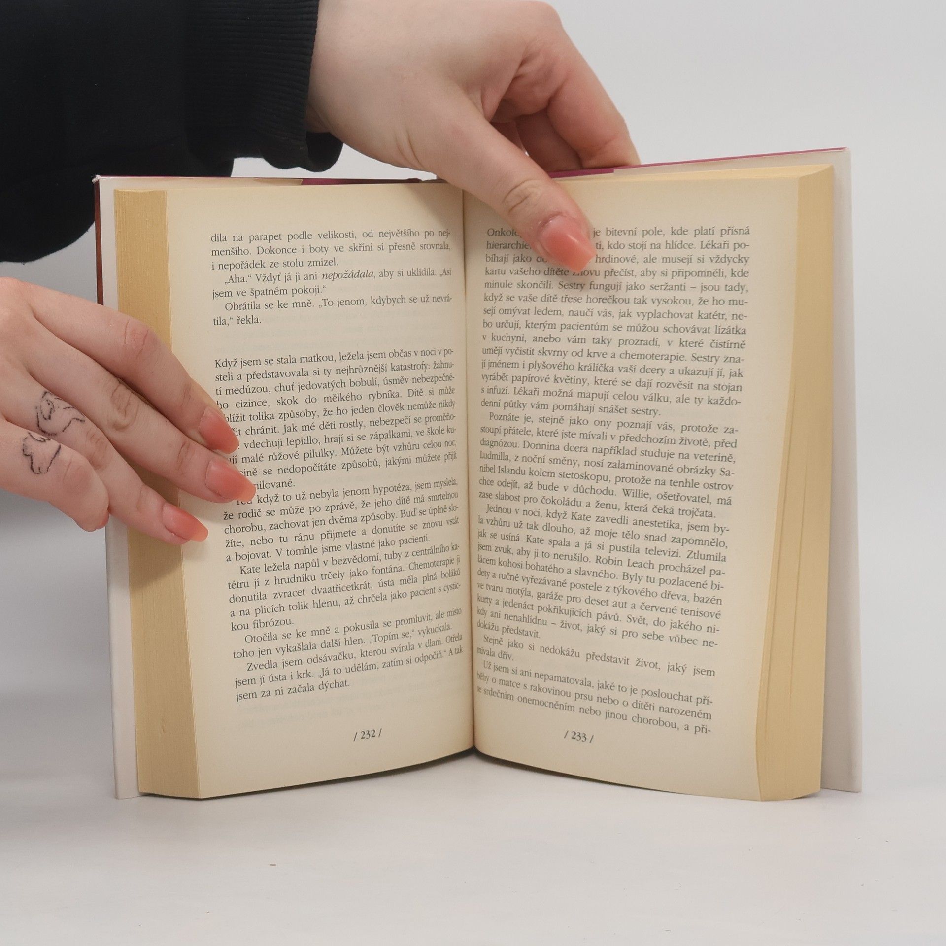 Jodi Picoult Je to i můj život