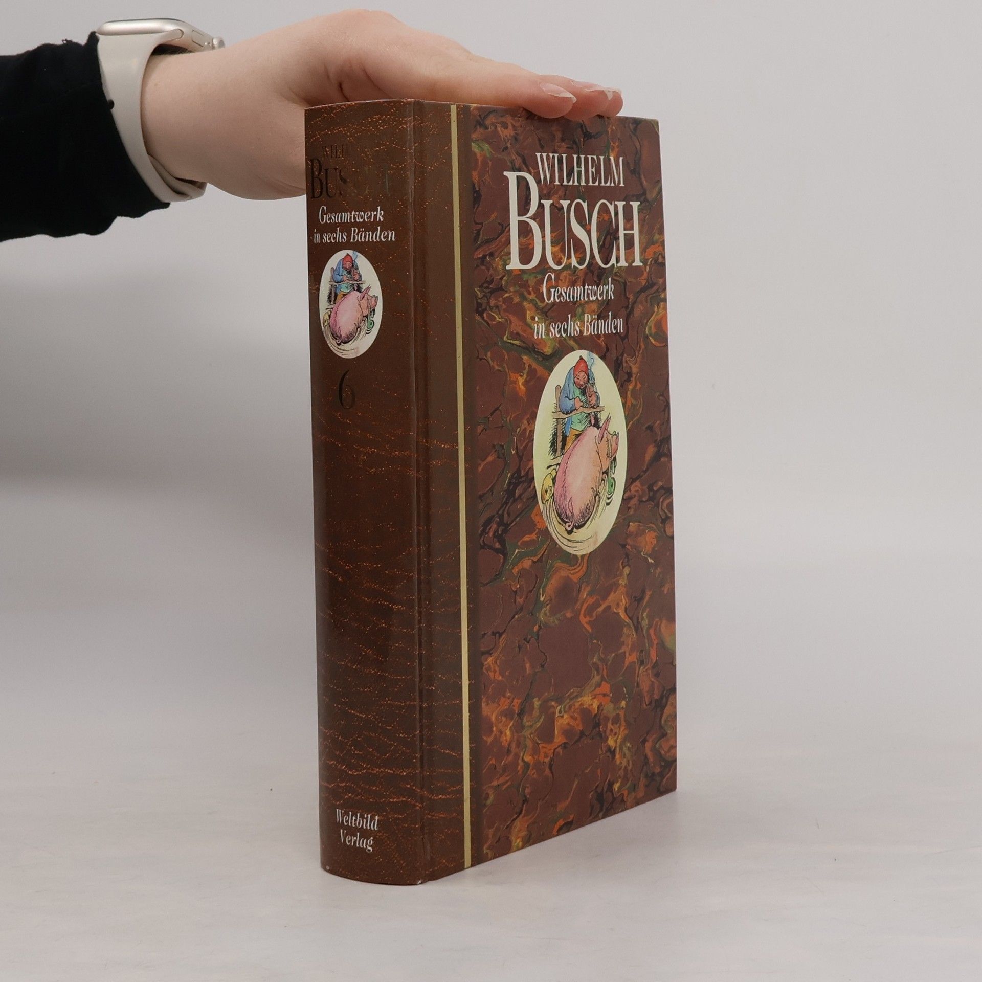 Wilhelm Busch Gesamtwerk in sechs Bänden 6