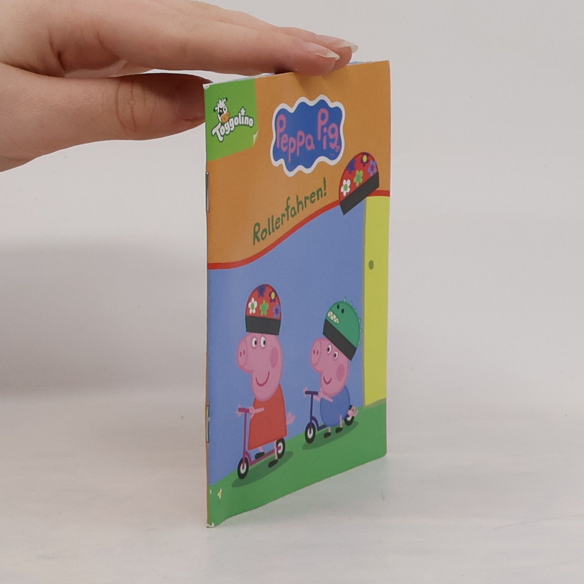 Autorenkollektiv Rollerfahren