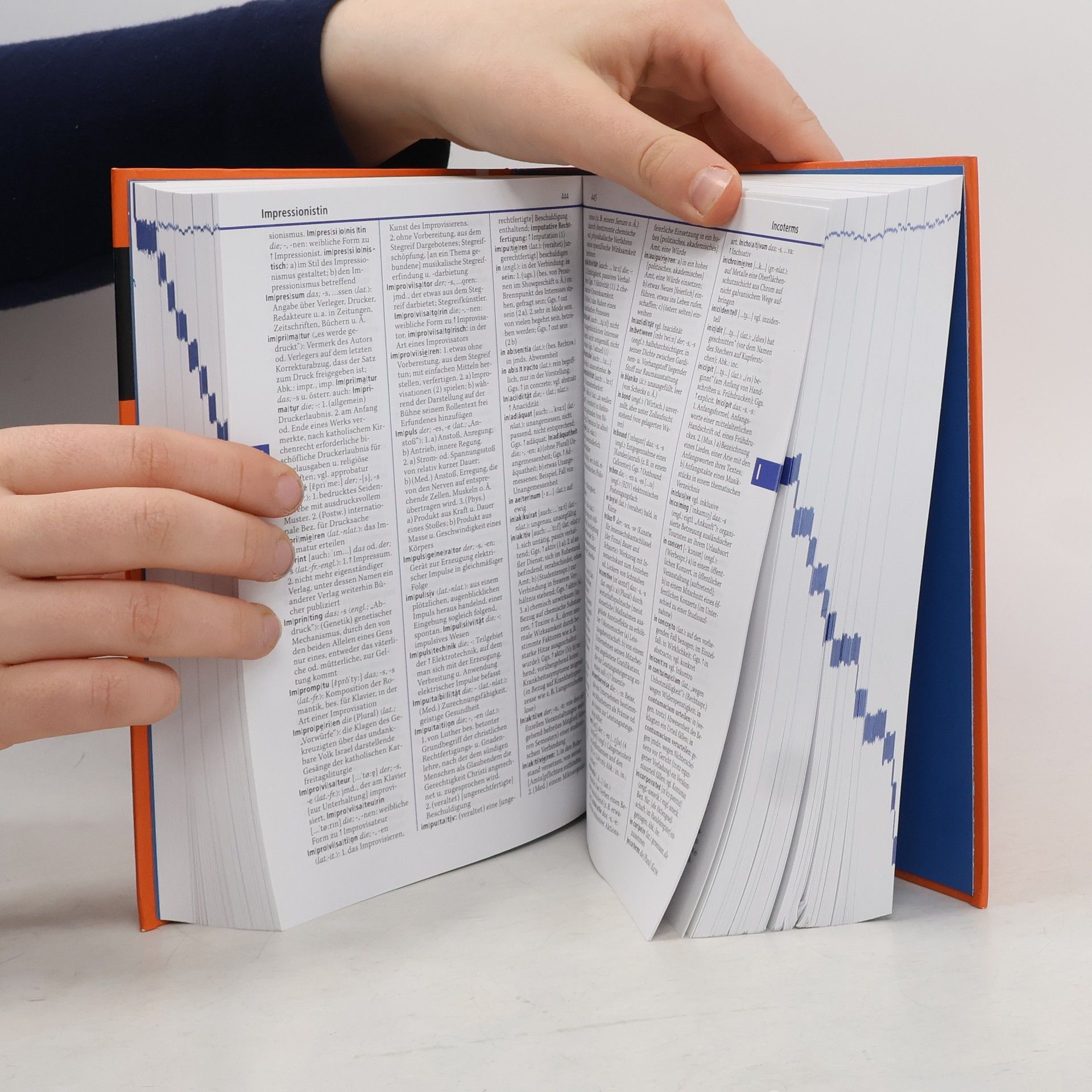 Ursula Kraif Duden - das Fremdwörterbuch