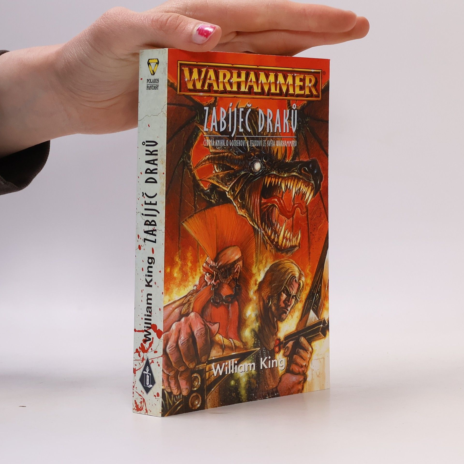 William King Zabíječ draků