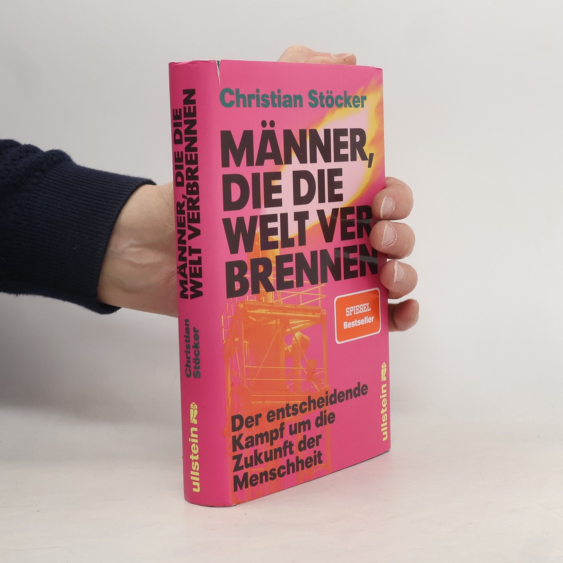 Christian Stöcker Männer, die die Welt verbrennen