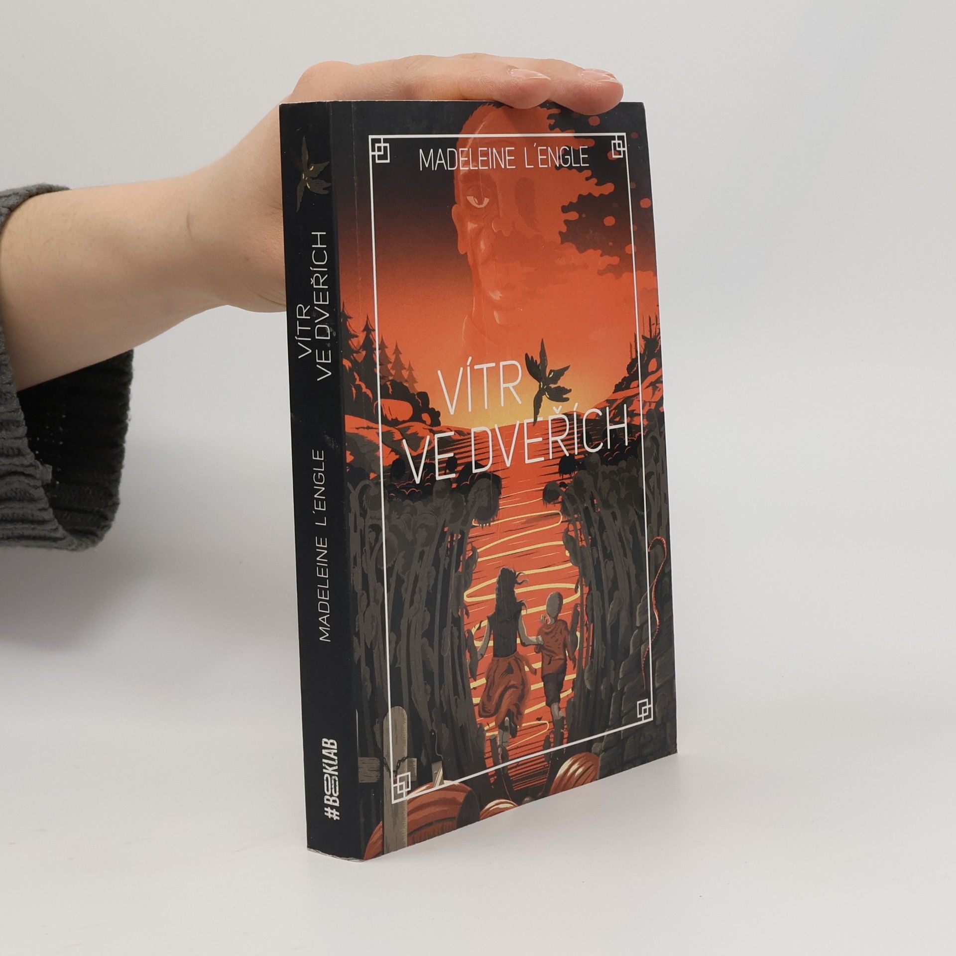 Madeleine L’Engle Vítr ve dveřích