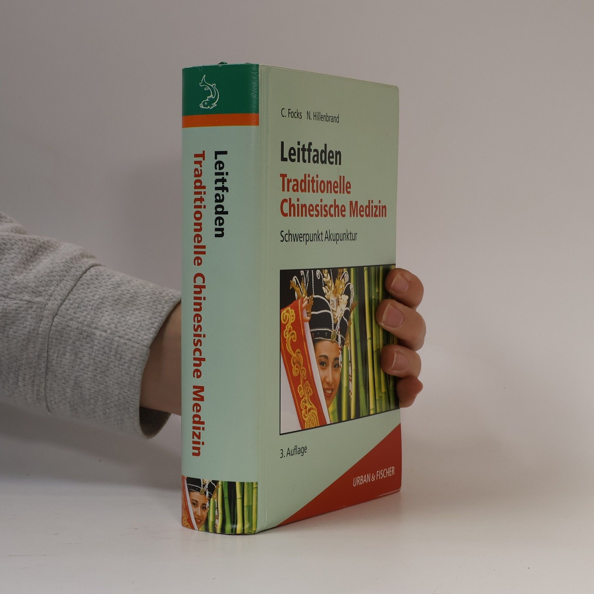 Claudia Focks Leitfaden traditionelle chinesische Medizin