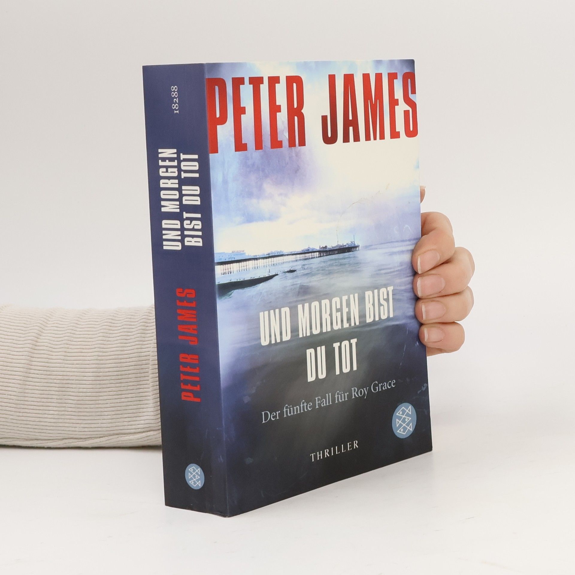 Peter James Und morgen bist du tot