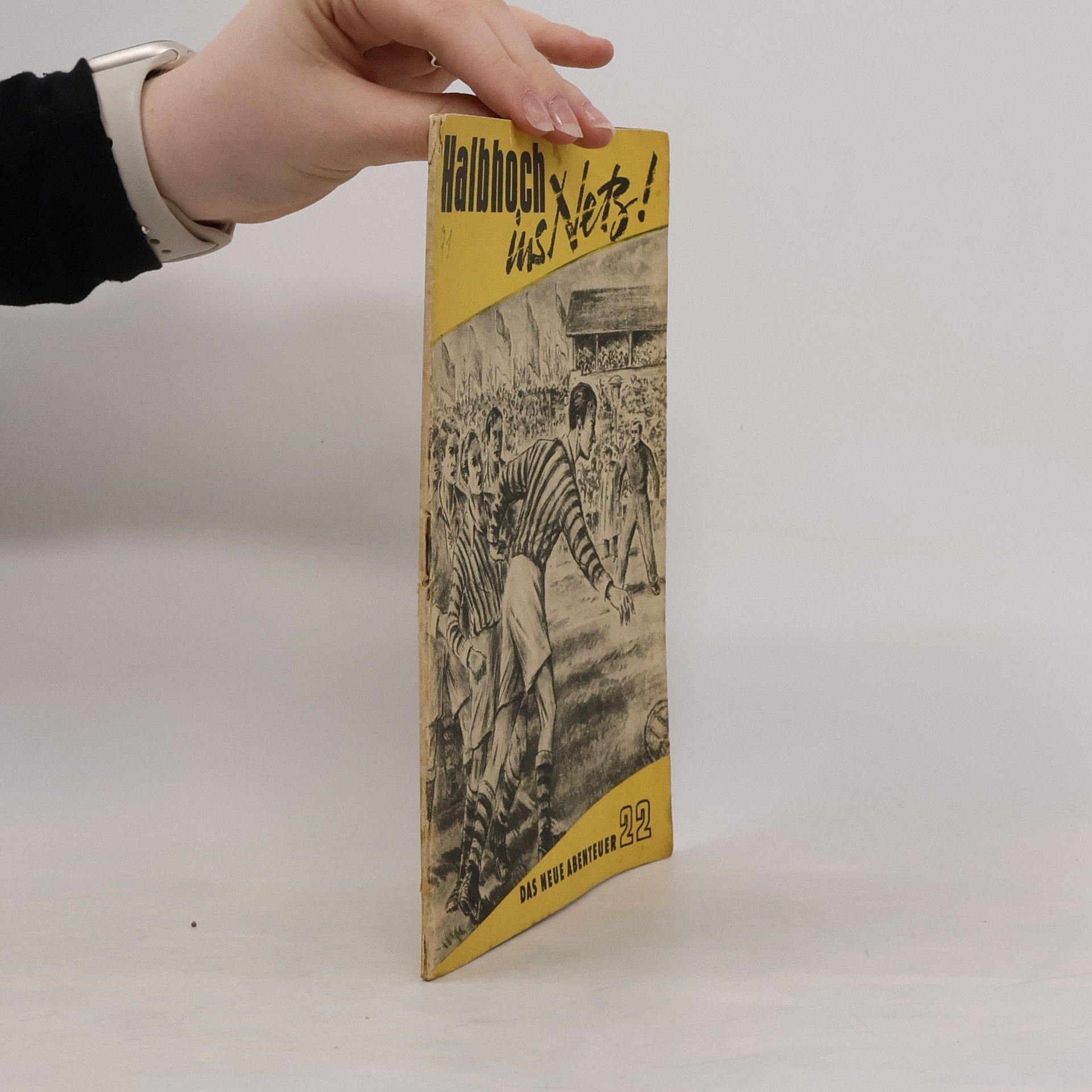 Horst H. Bernhardt Halbhoch ins Netz