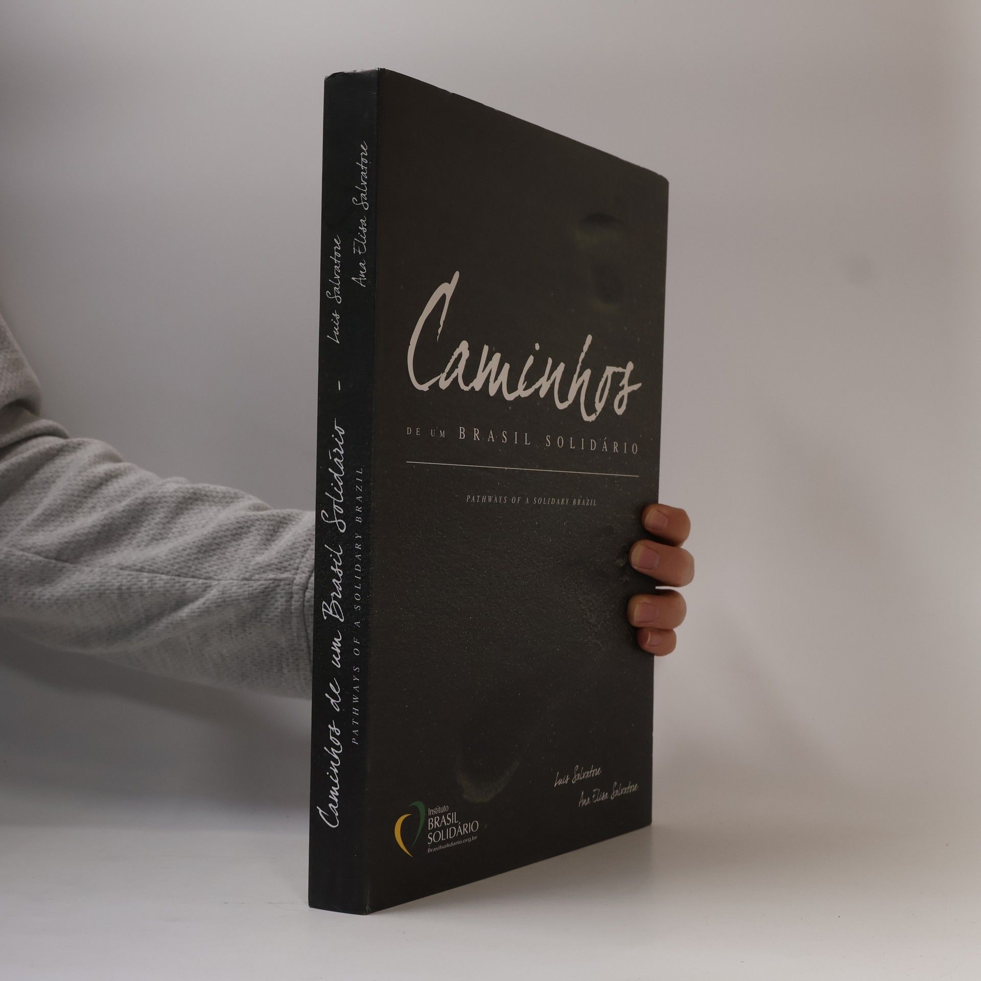 Ana Elisa Salvatore Caminhos de um Brasil Solidário