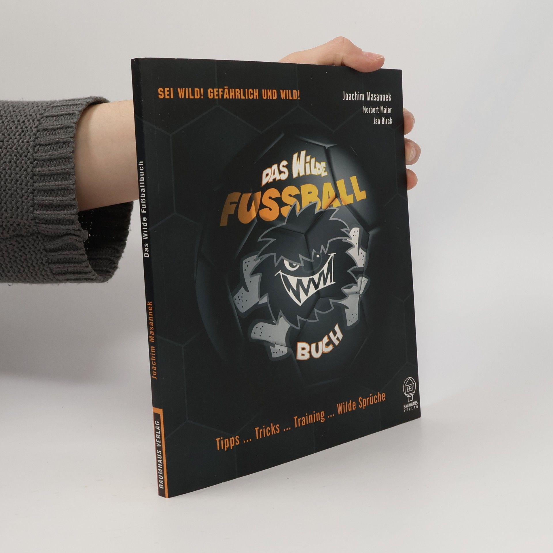 Joachim Masannek Das wilde Fußball-Buch