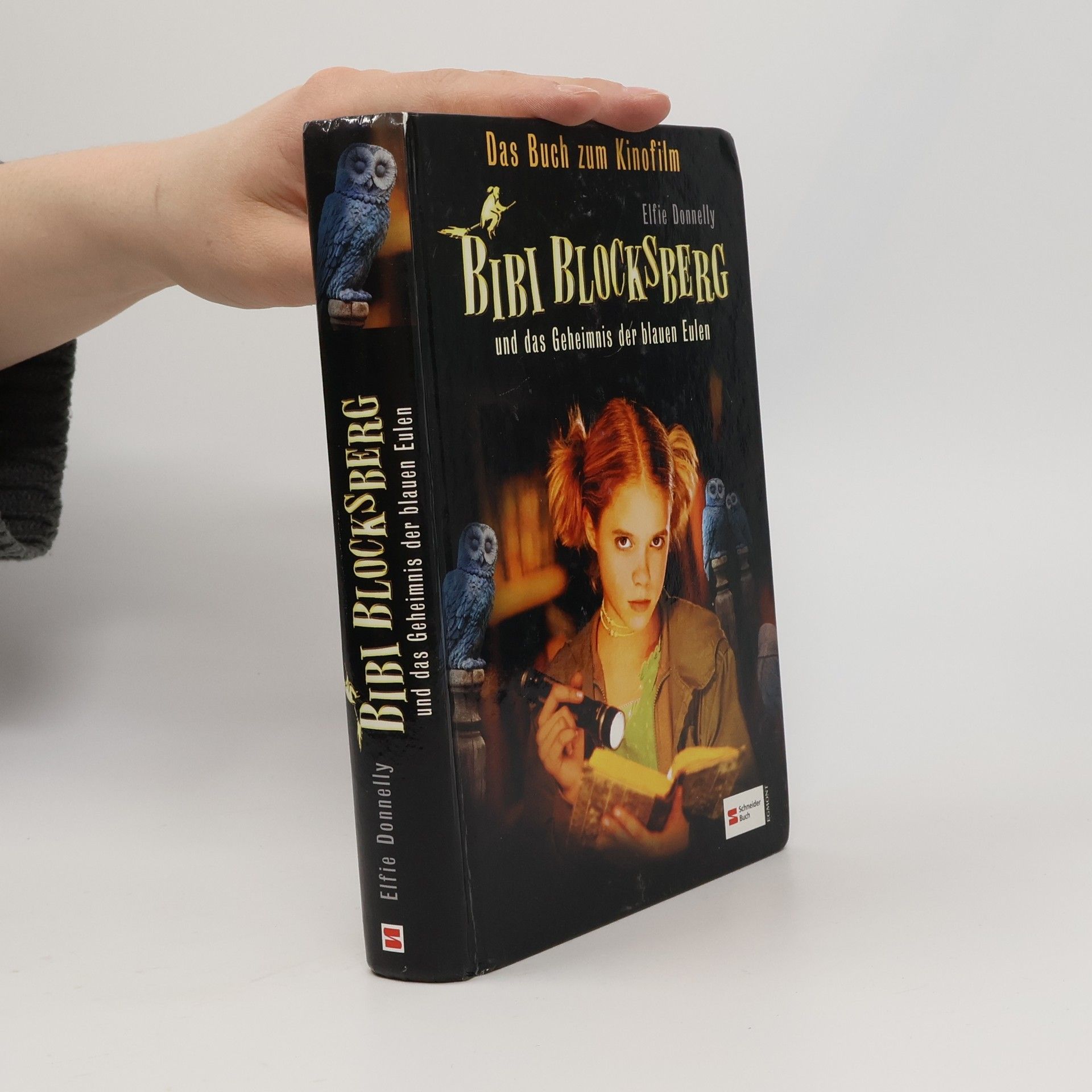 Elfie Donnelly Bibi Blocksberg und das Geheimnis der blauen Eulen